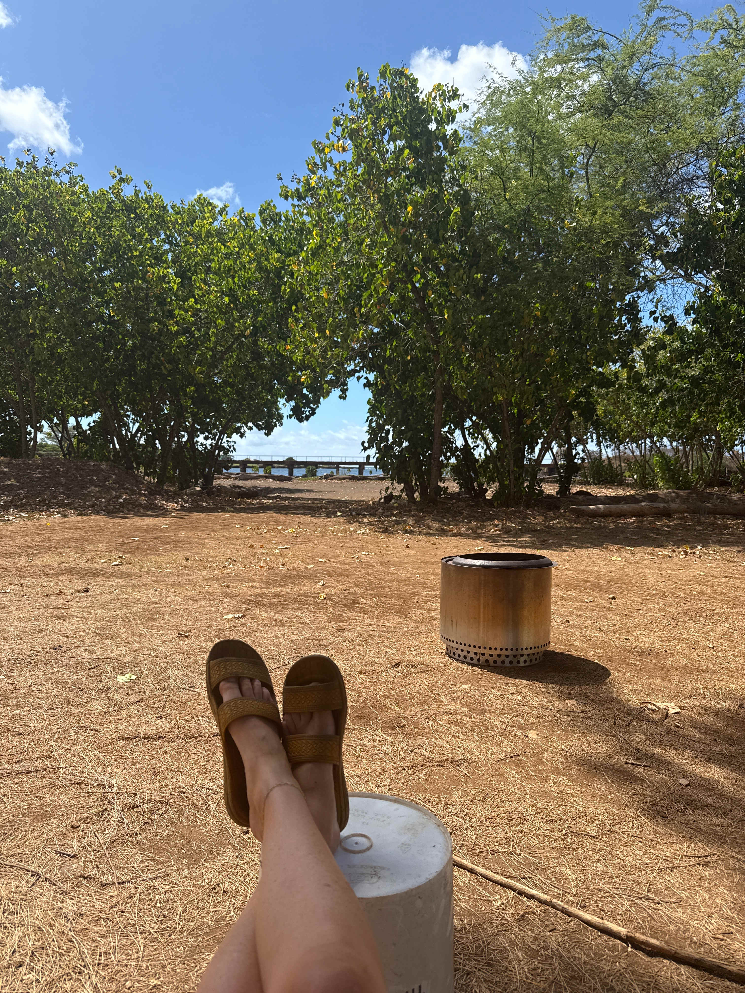 Mangrove Lounge