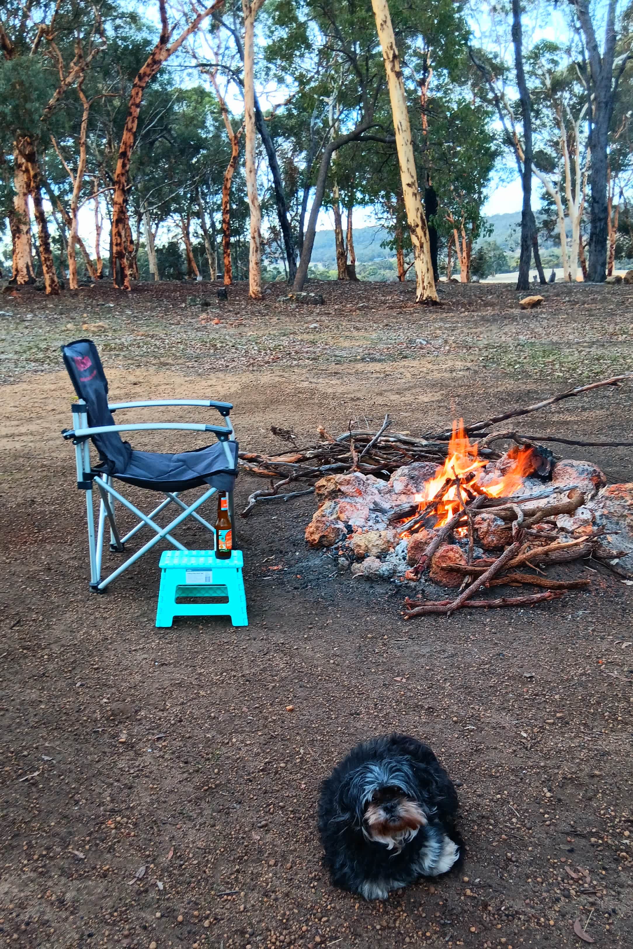 Well behaved dogs welcome 