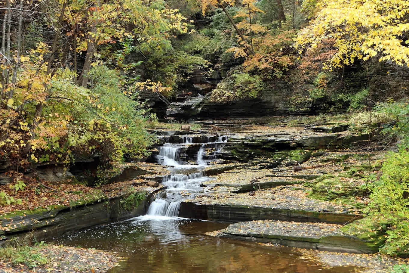 Havana Glen Park