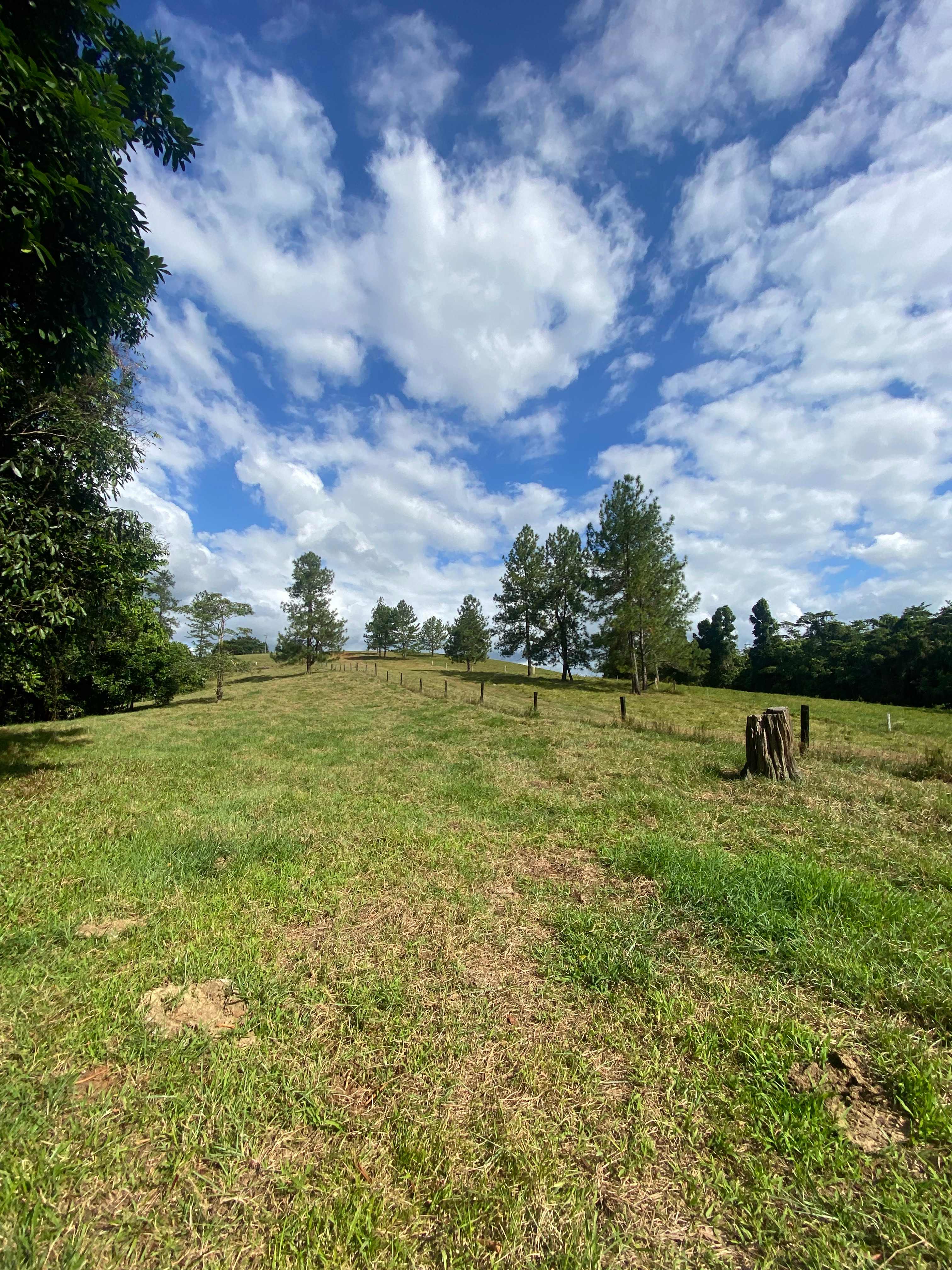 Mena Creek River Retreat Camp