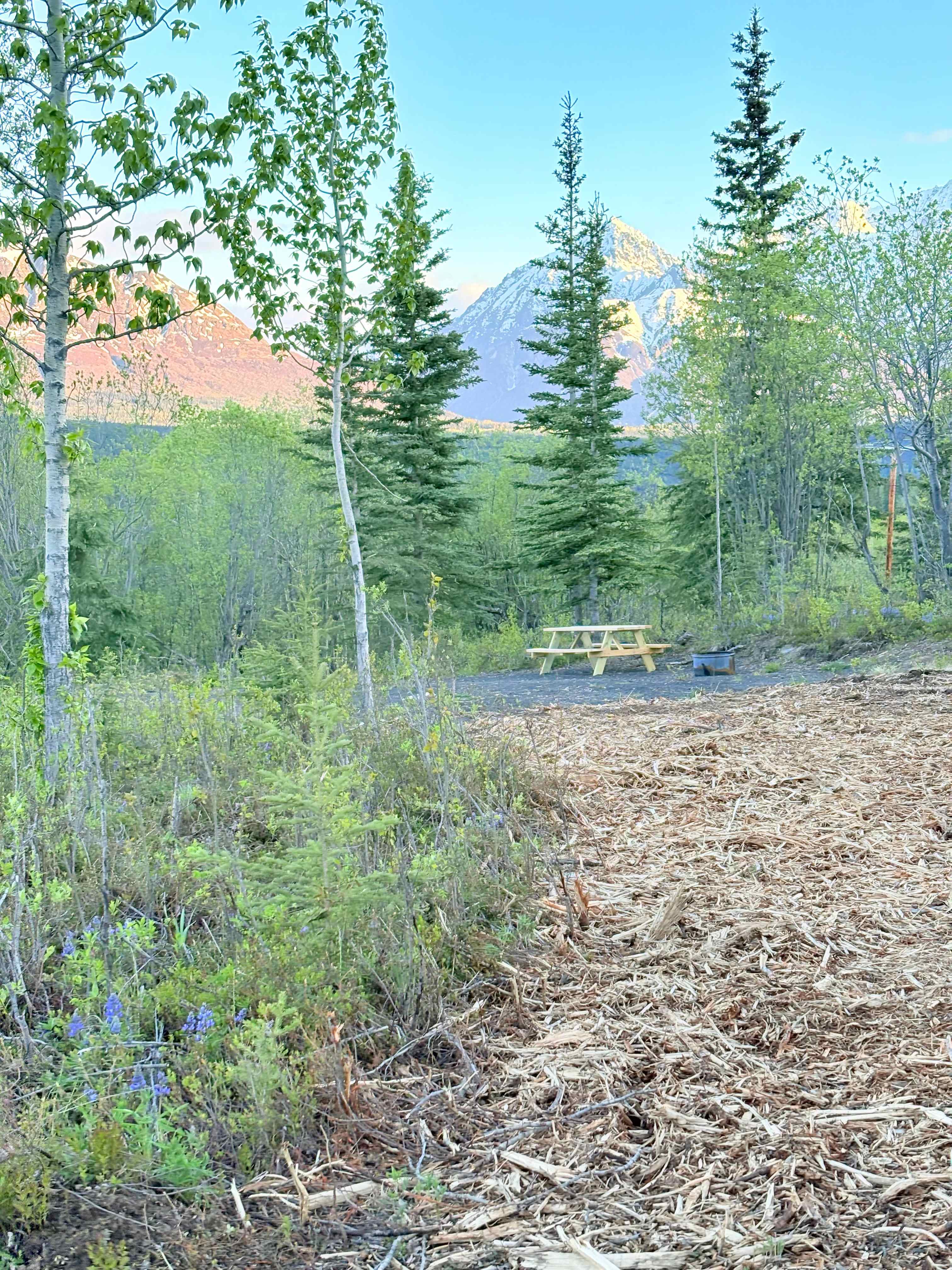 Pinochle Trail Campground
