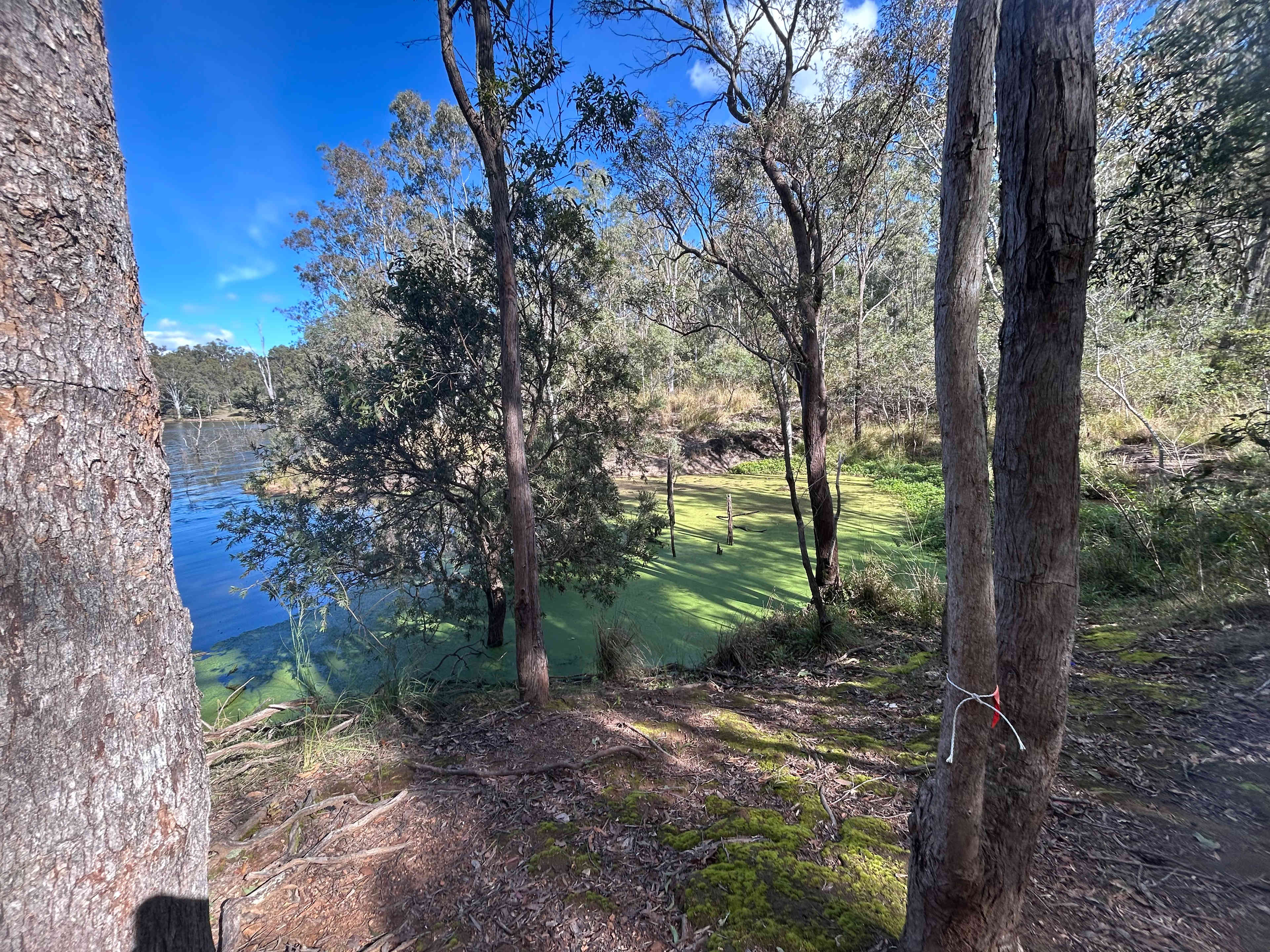 Moogerah Lakeside Bush Retreat