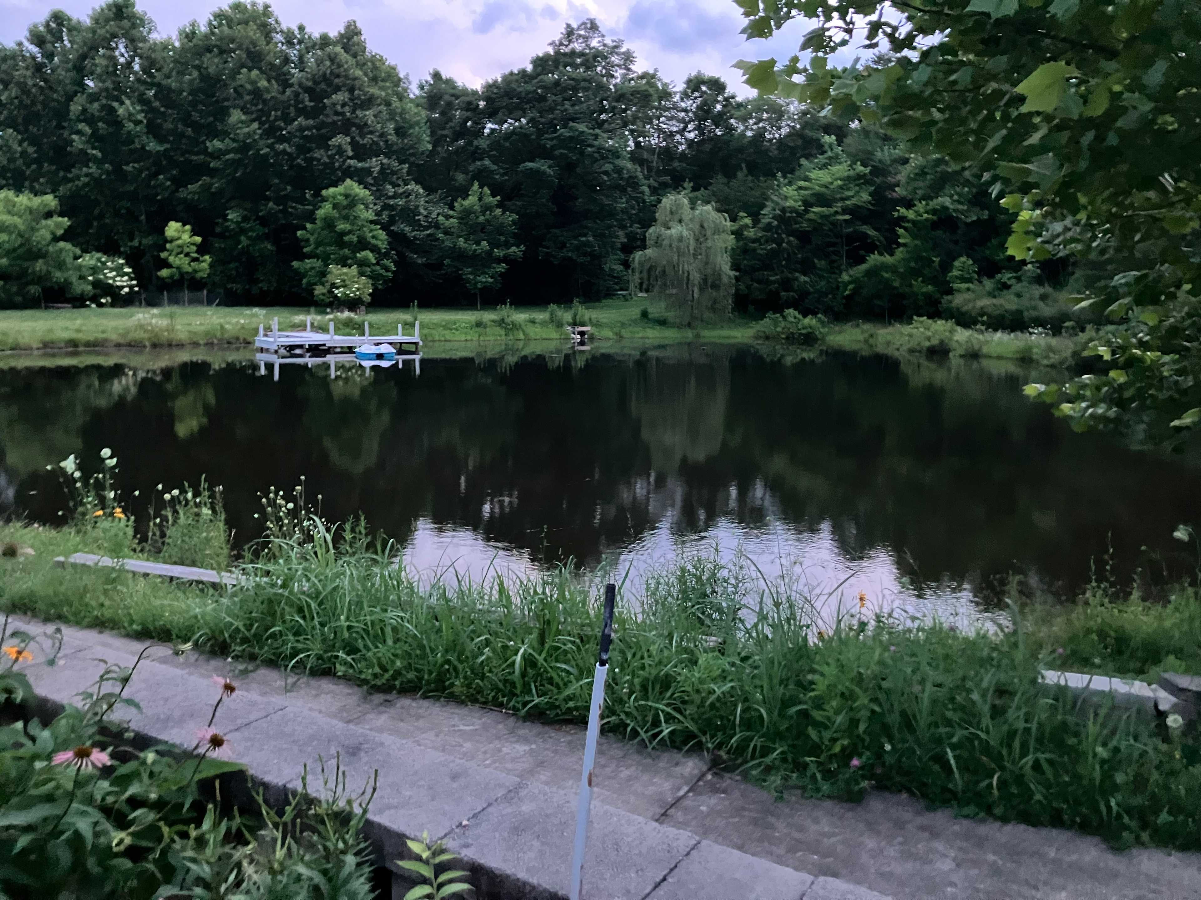 Pond by my campsite