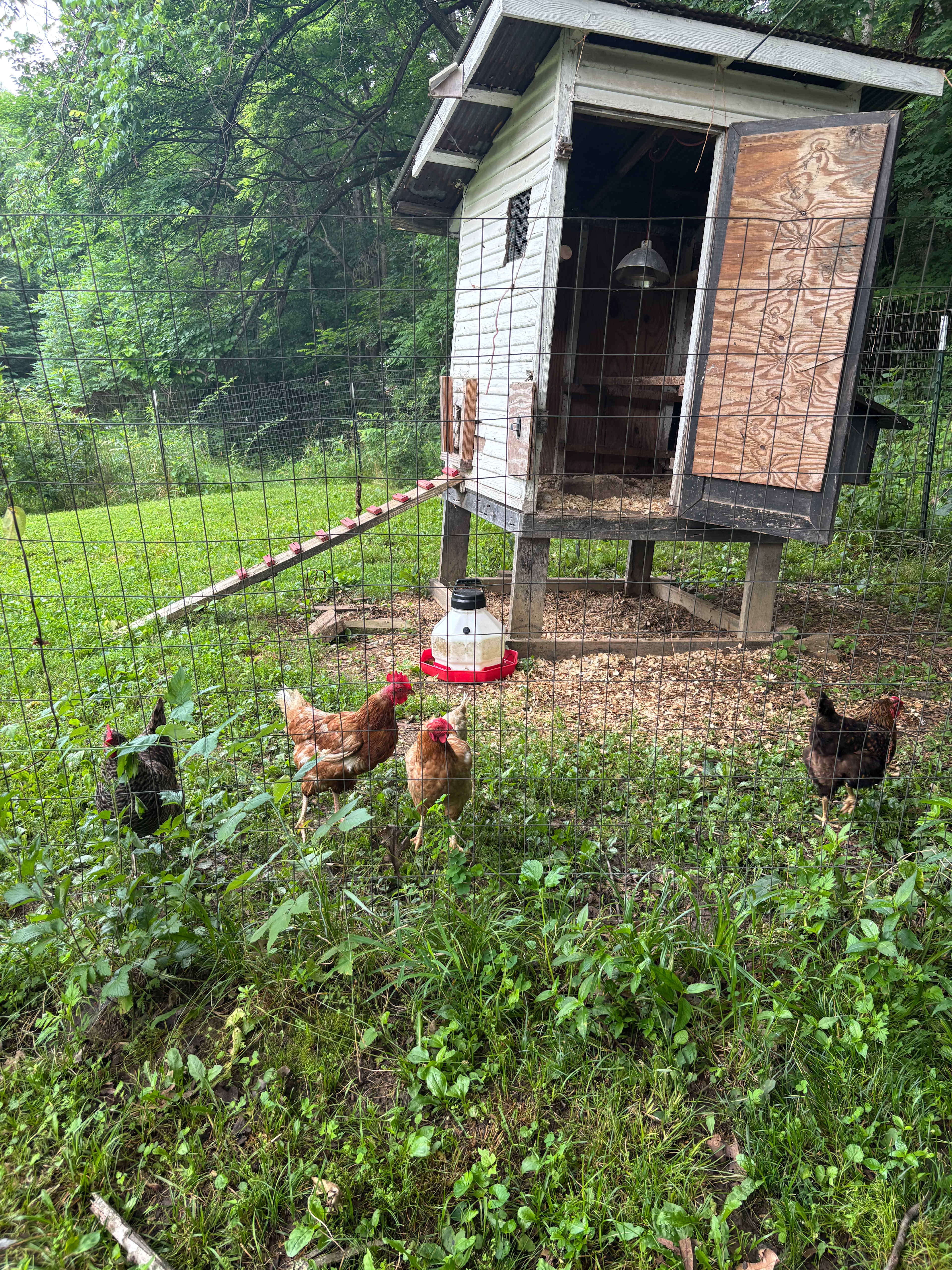 Lost River Hostel