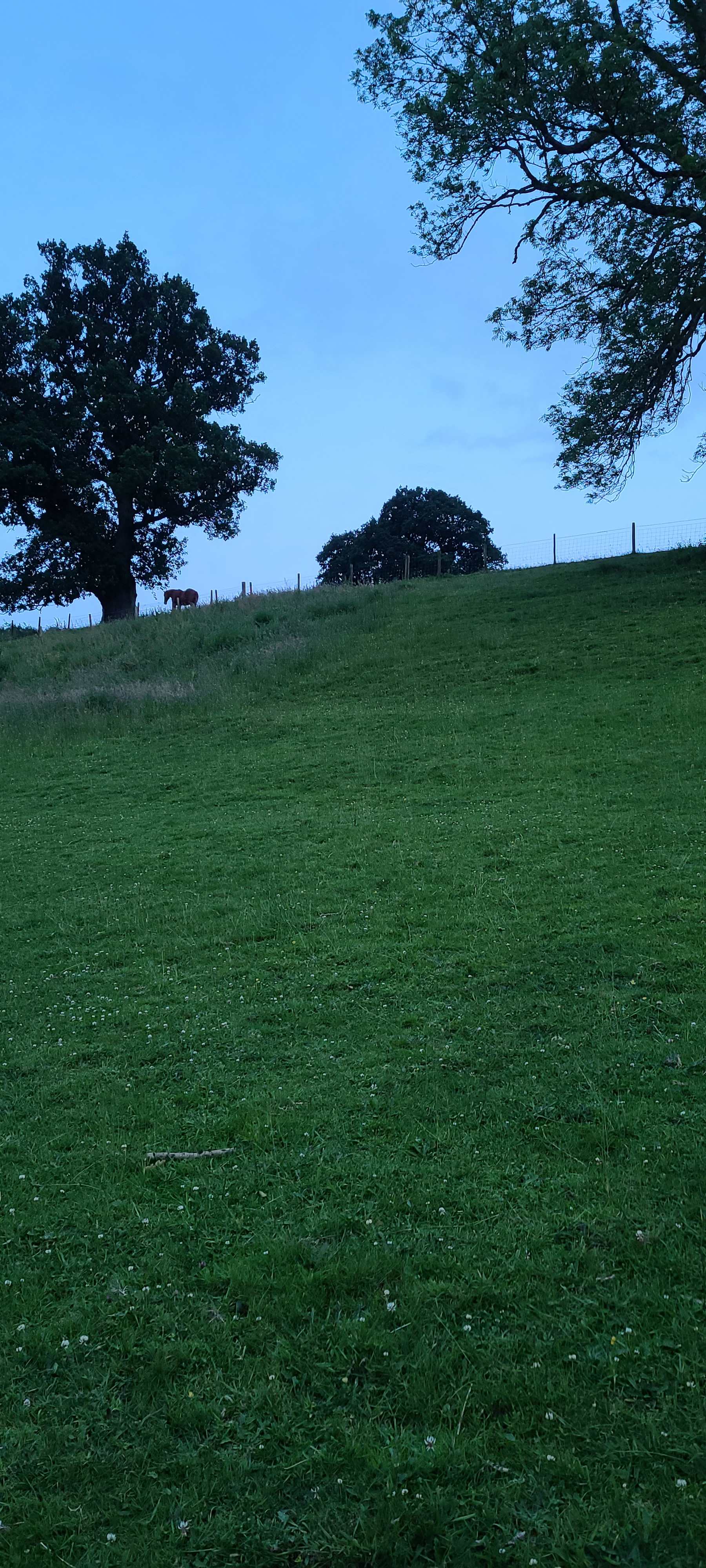 The view from the van watching the bats and waiting for the moon to rise