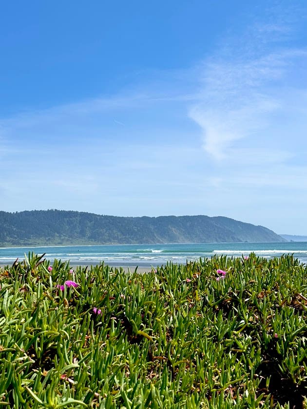 Redwood Harbor Village