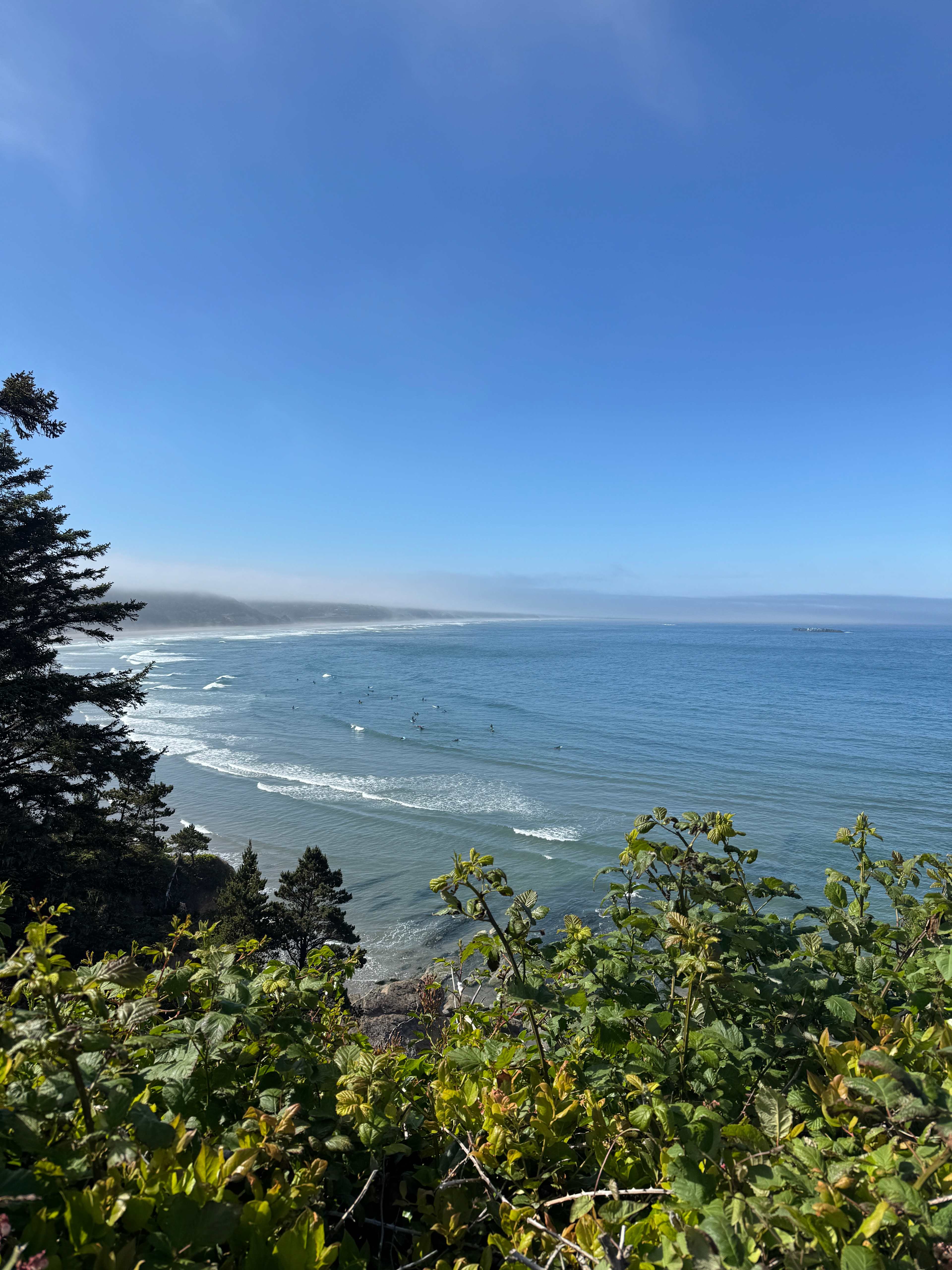 Dope Creek Surf Camp (Otter Rock)