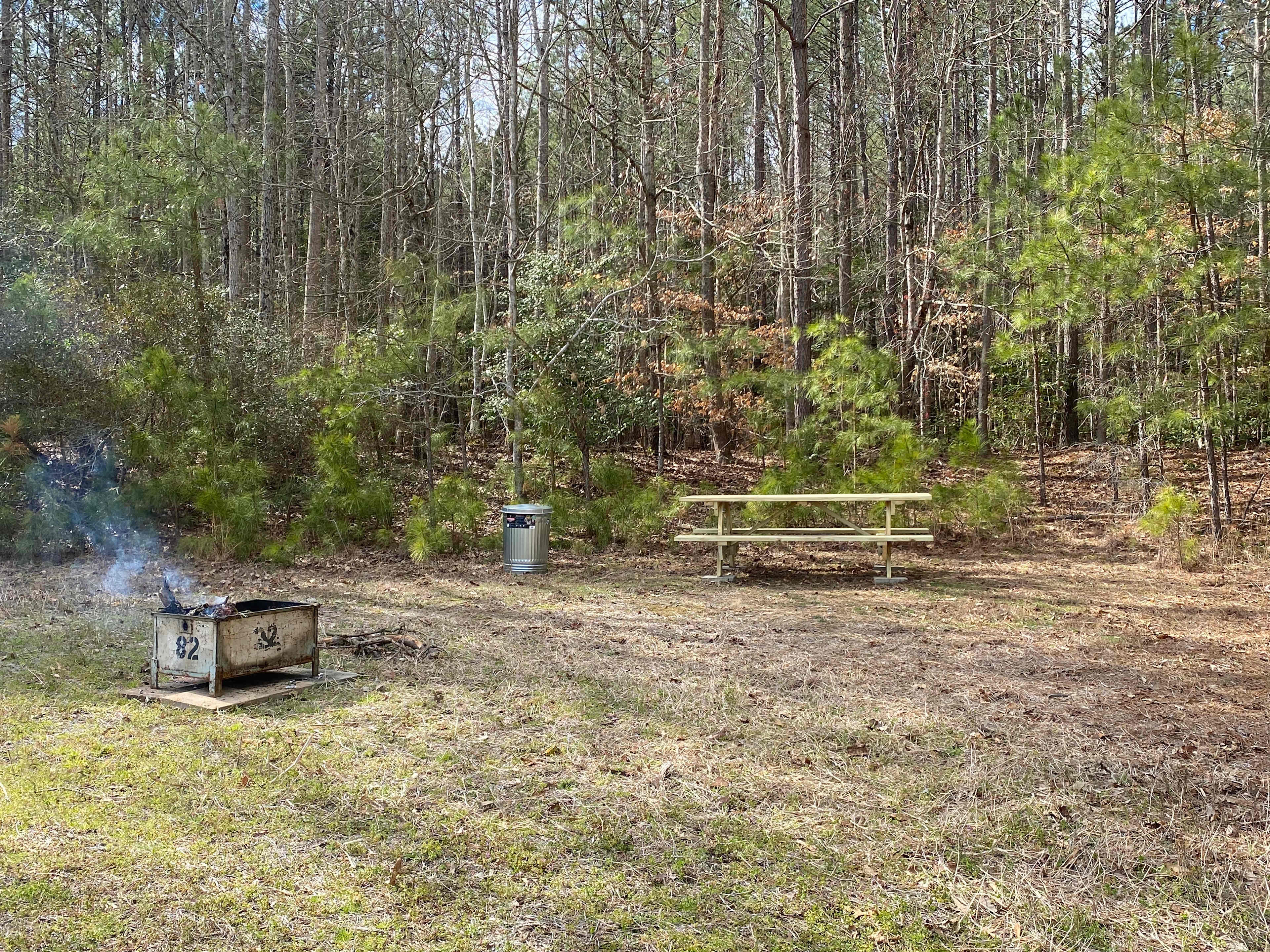 Picture of the site