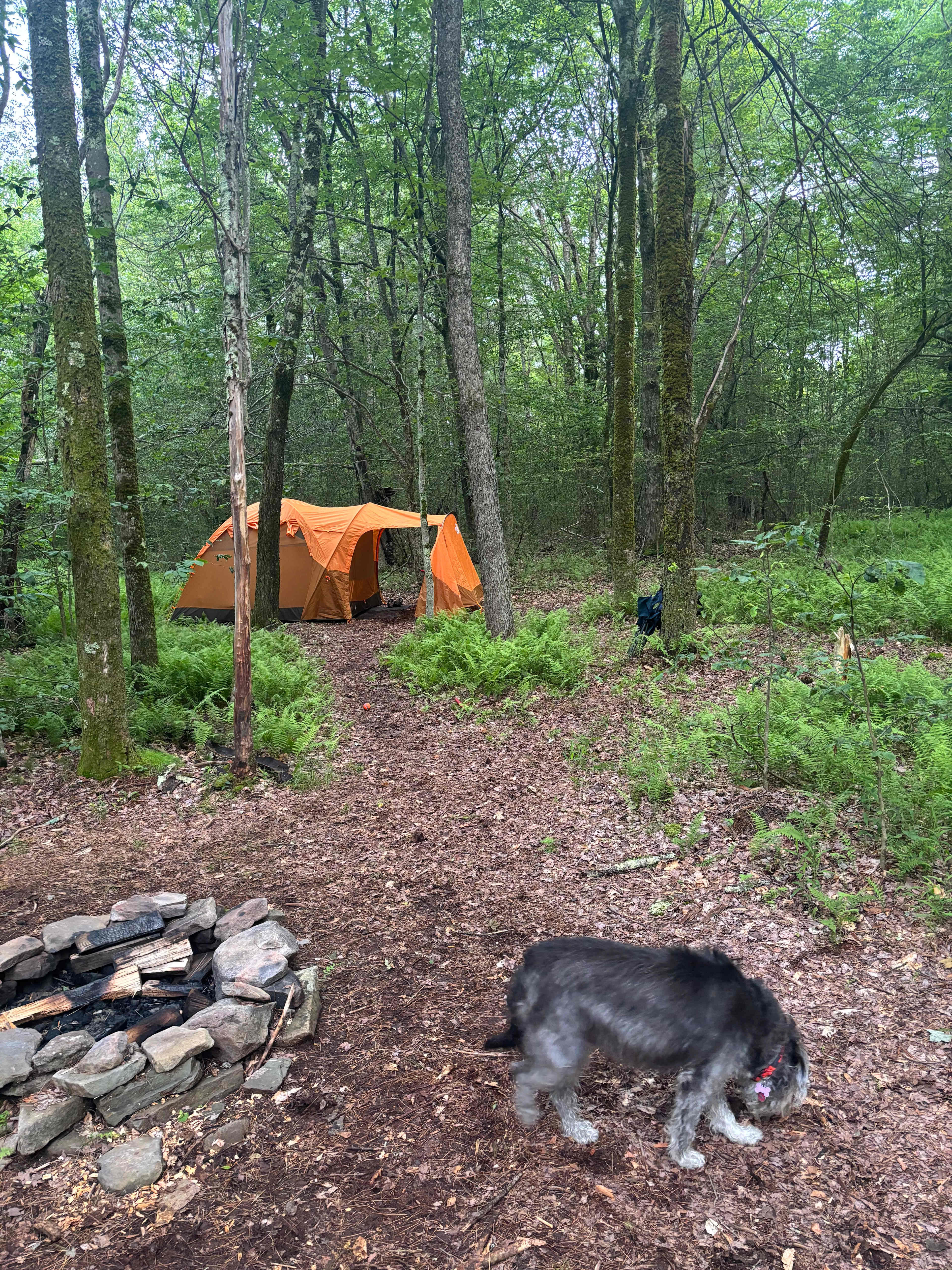 Blue Wind Nature Camp