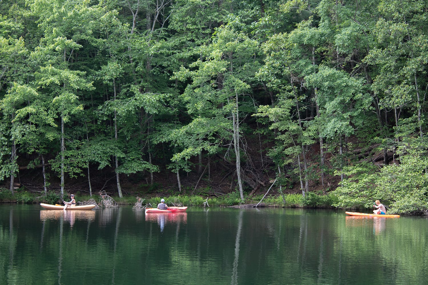 Wild Toad Lake