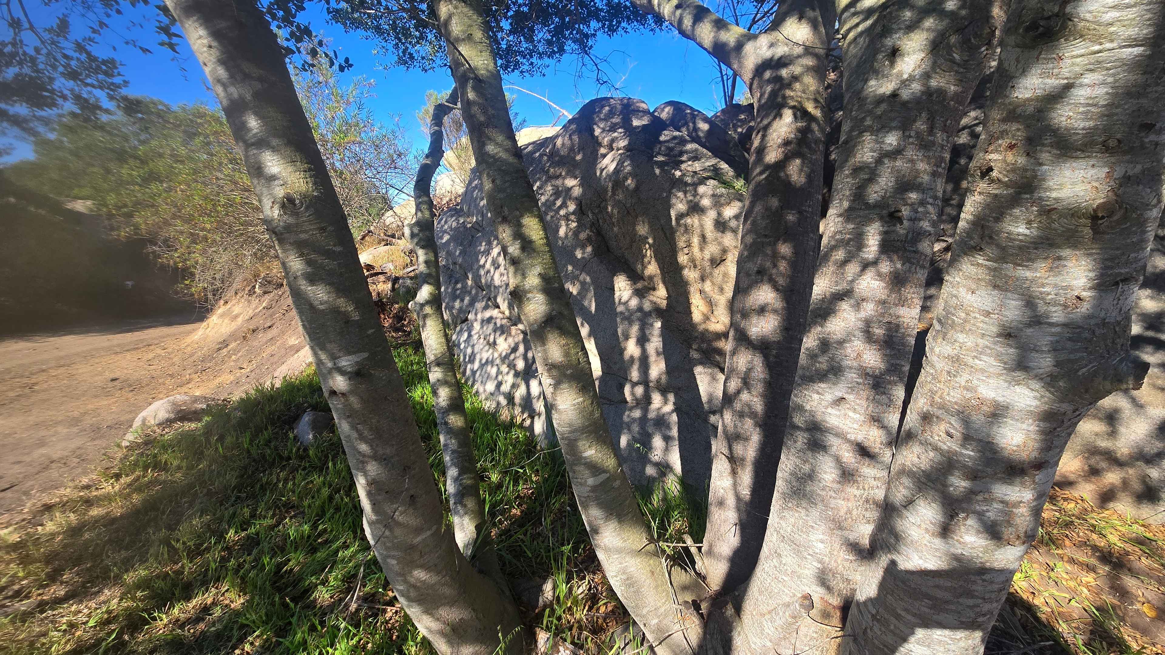 Splitrock Farm and Retreat