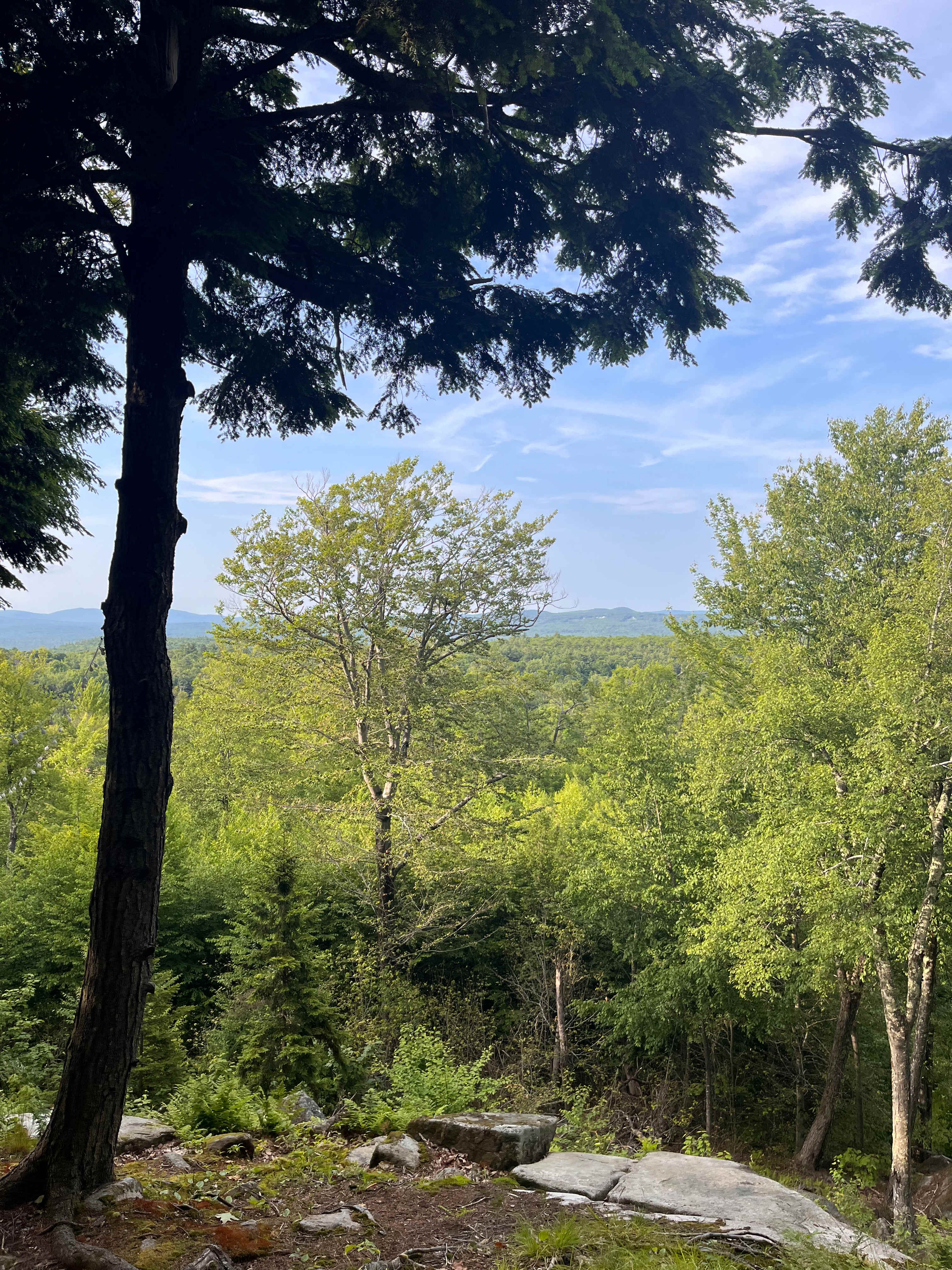 Hussey Mountain Tree Farm