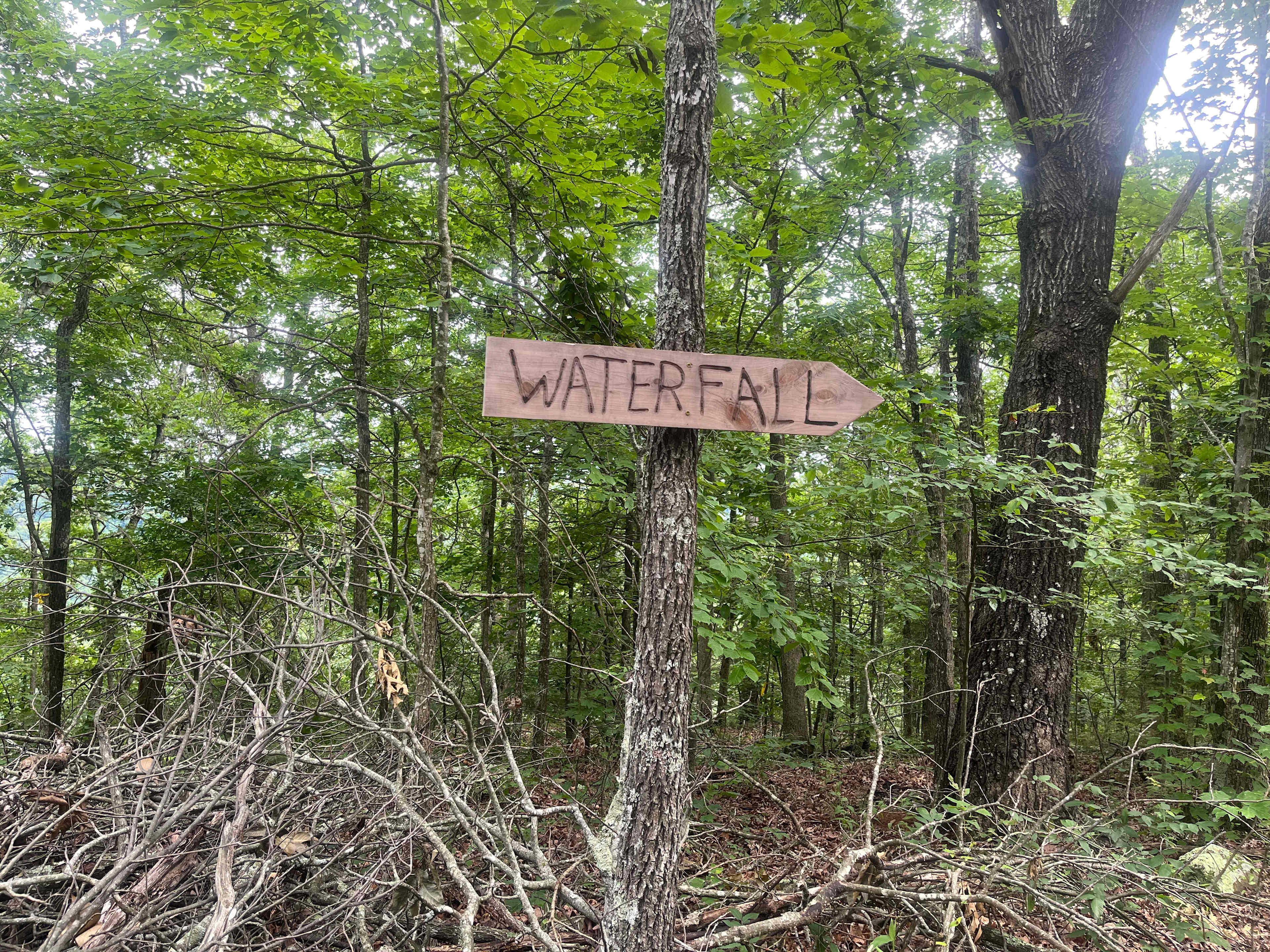 Secluded Camp near Buffalo River
