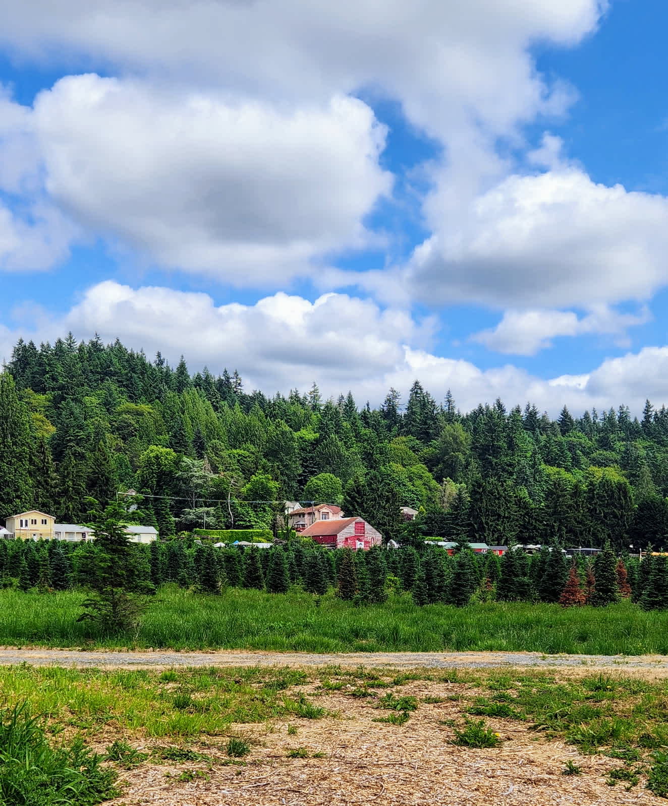 McMurtrey Farm