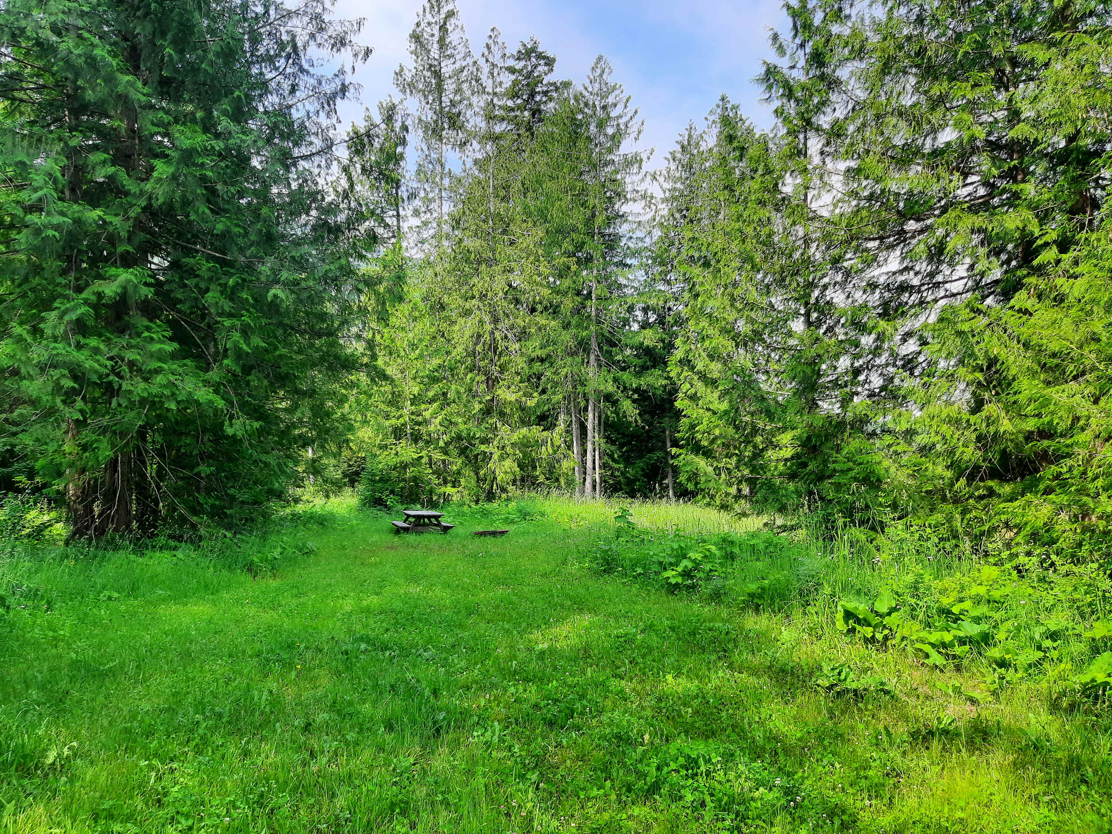 Olich Creek Farm
