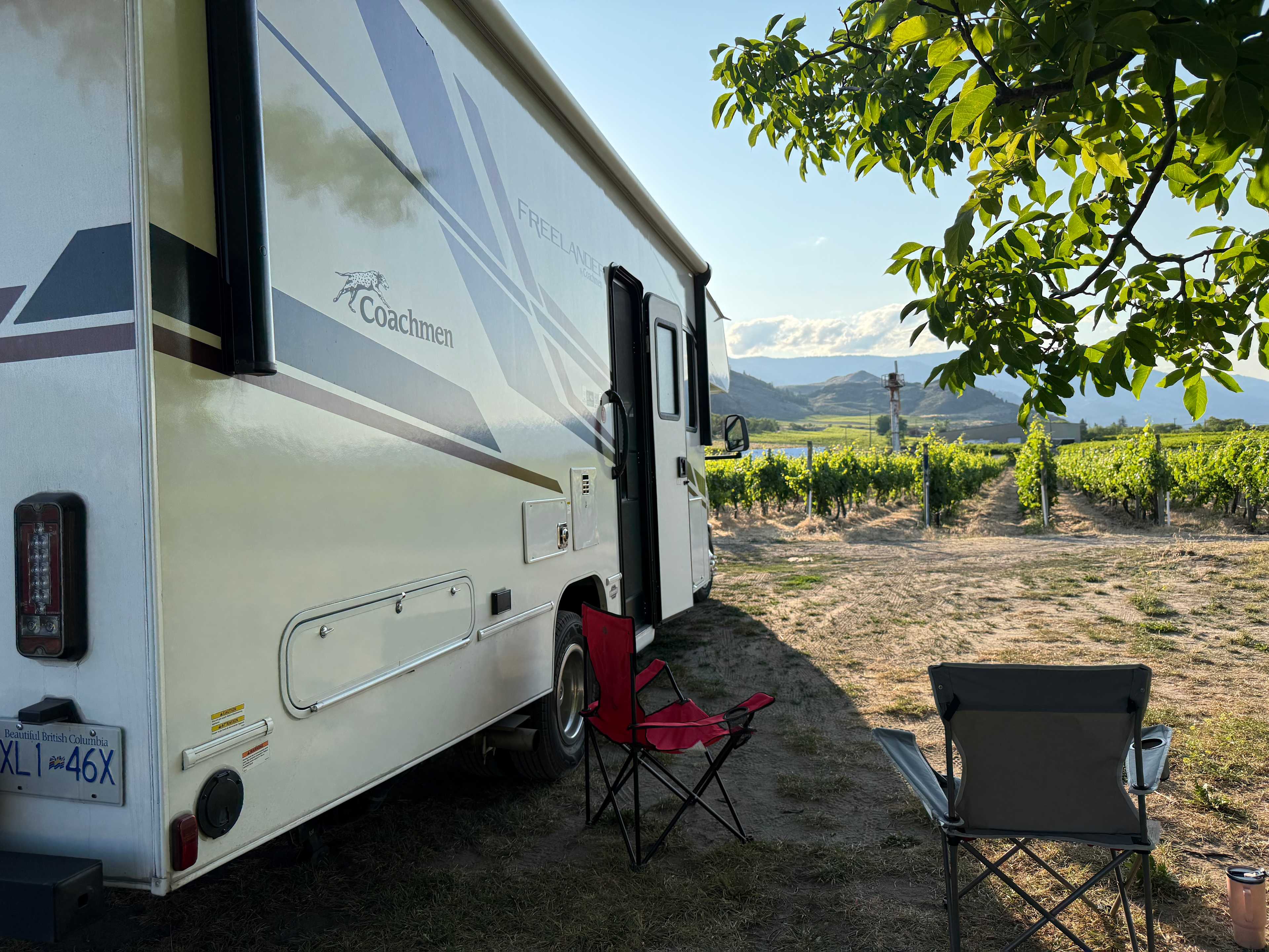 Mythology Vineyard