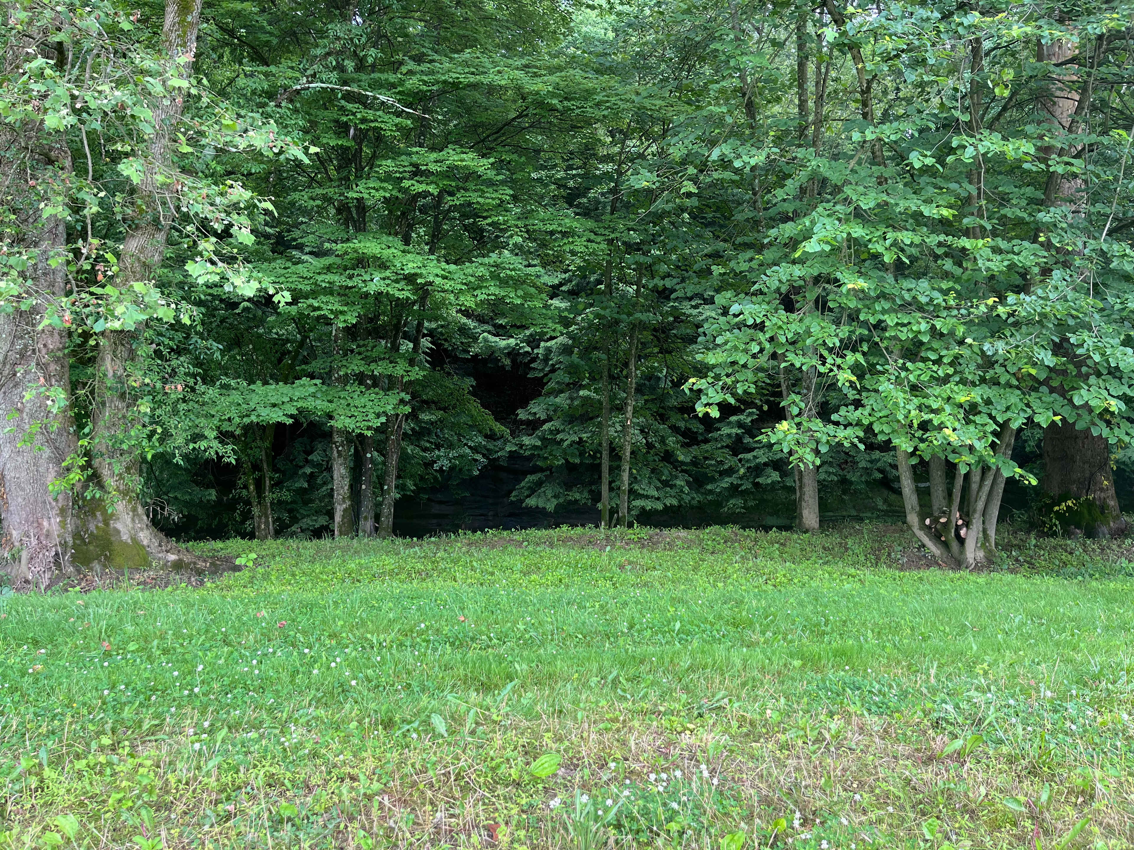 Oaklawn Land & Livestock LLC