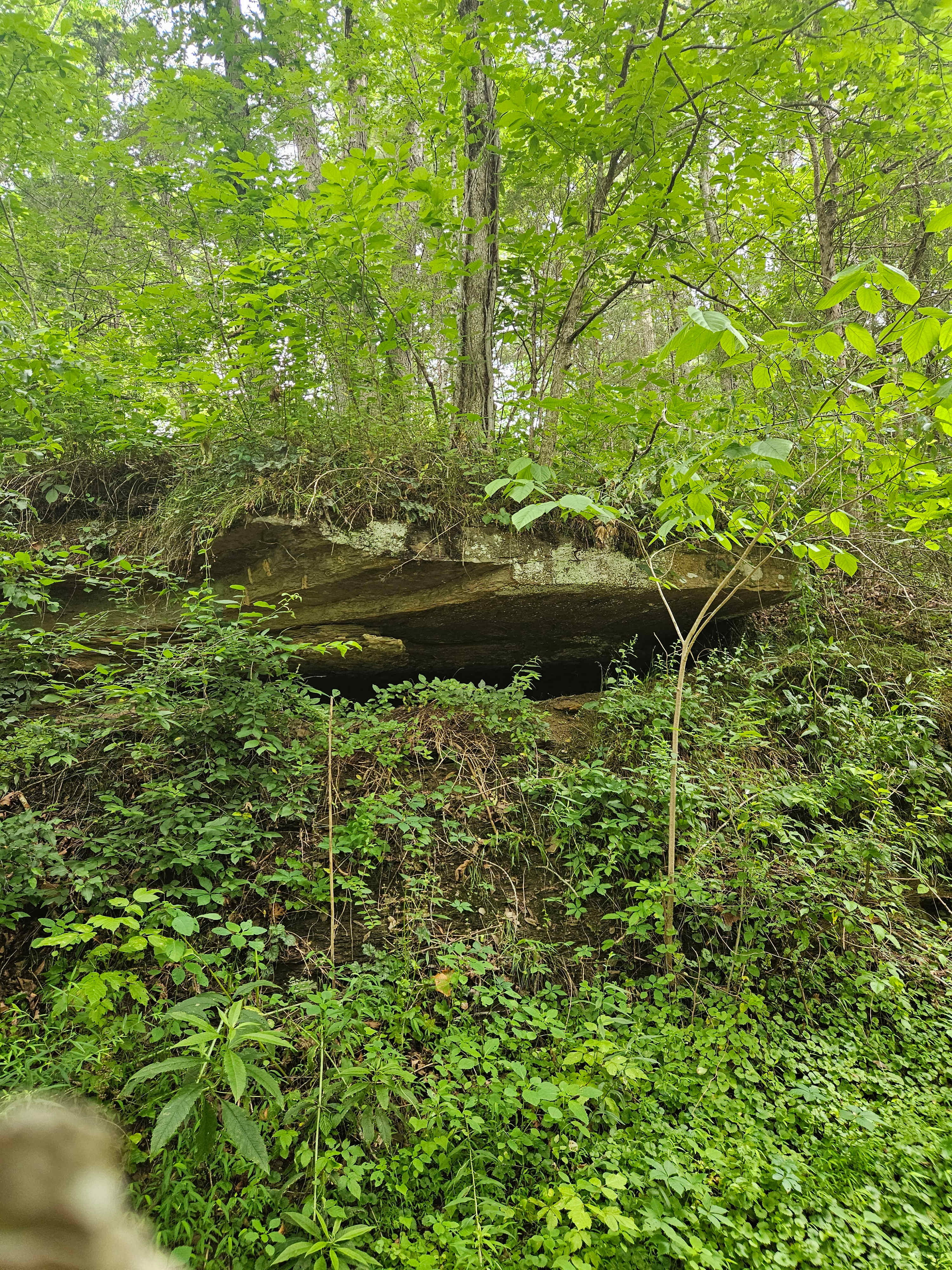 Clayton Geneva Memorial Camp Ground
