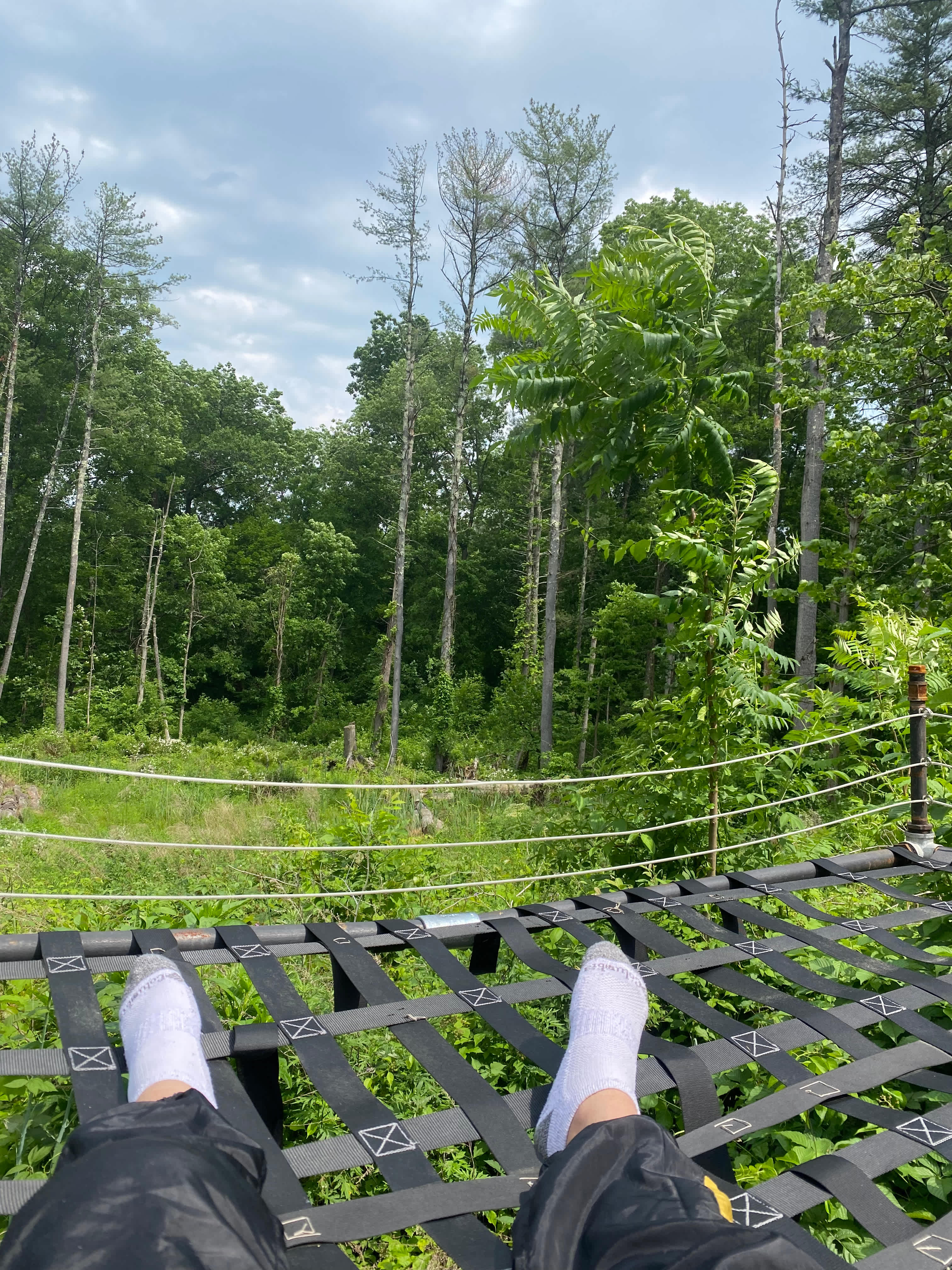 Chilling at the hammock