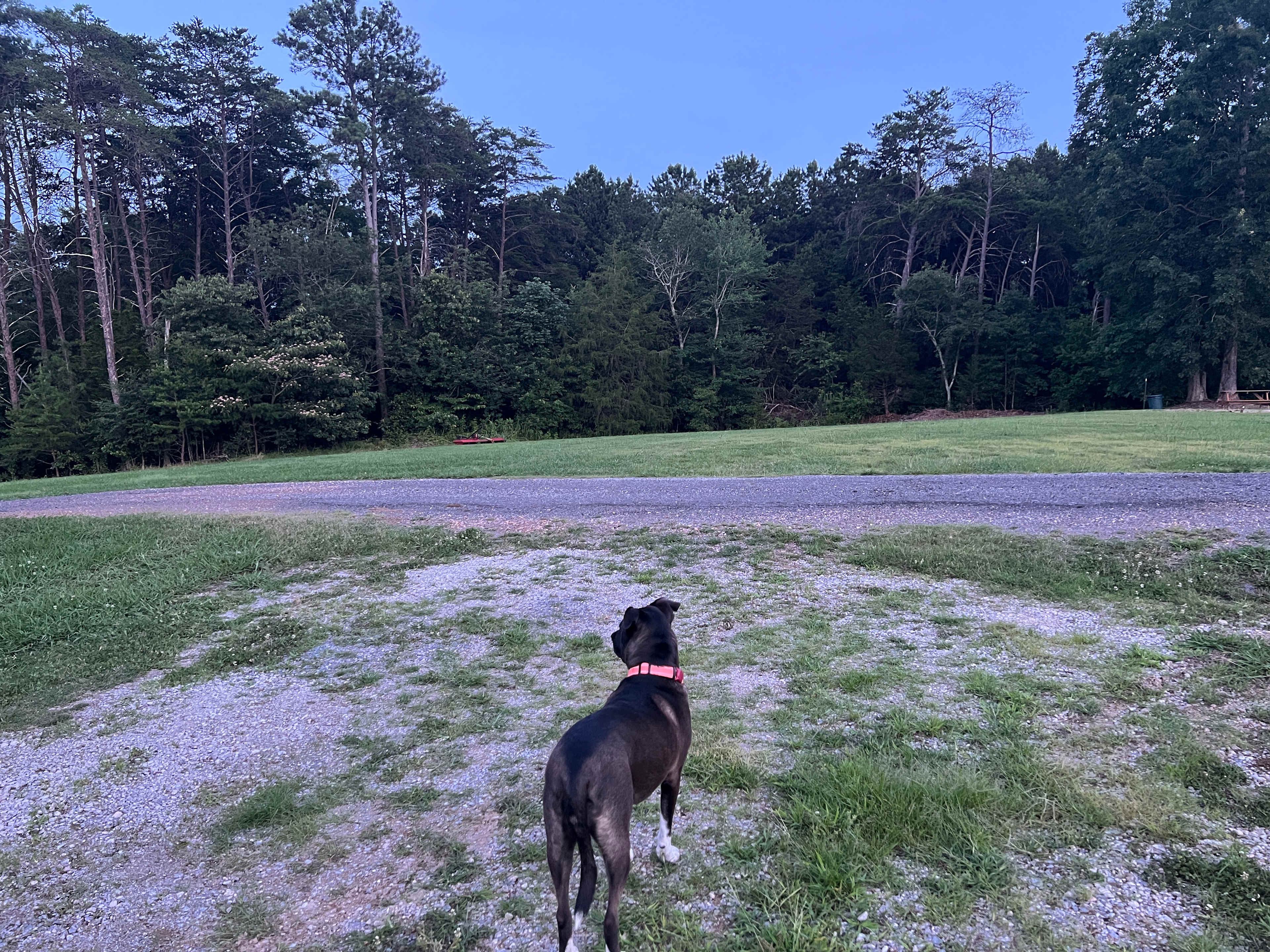 NW GA Farm Stay