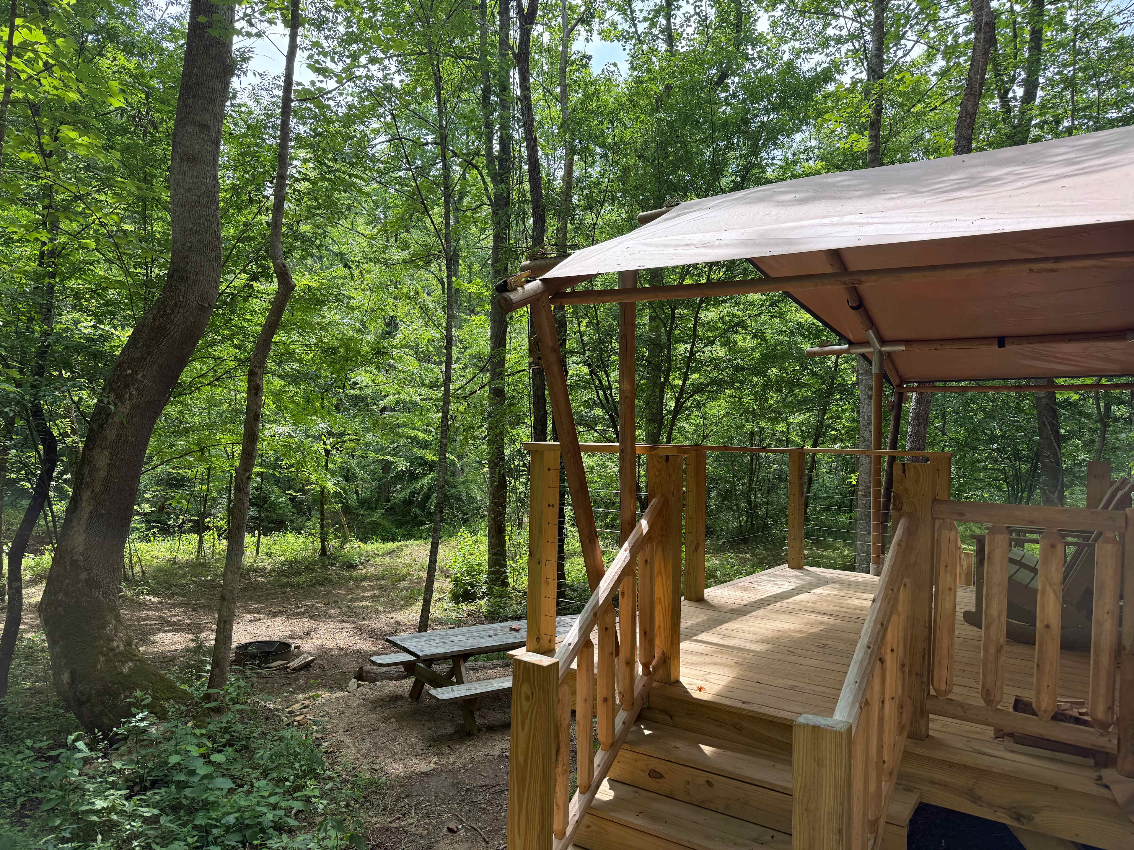 Picture of the site