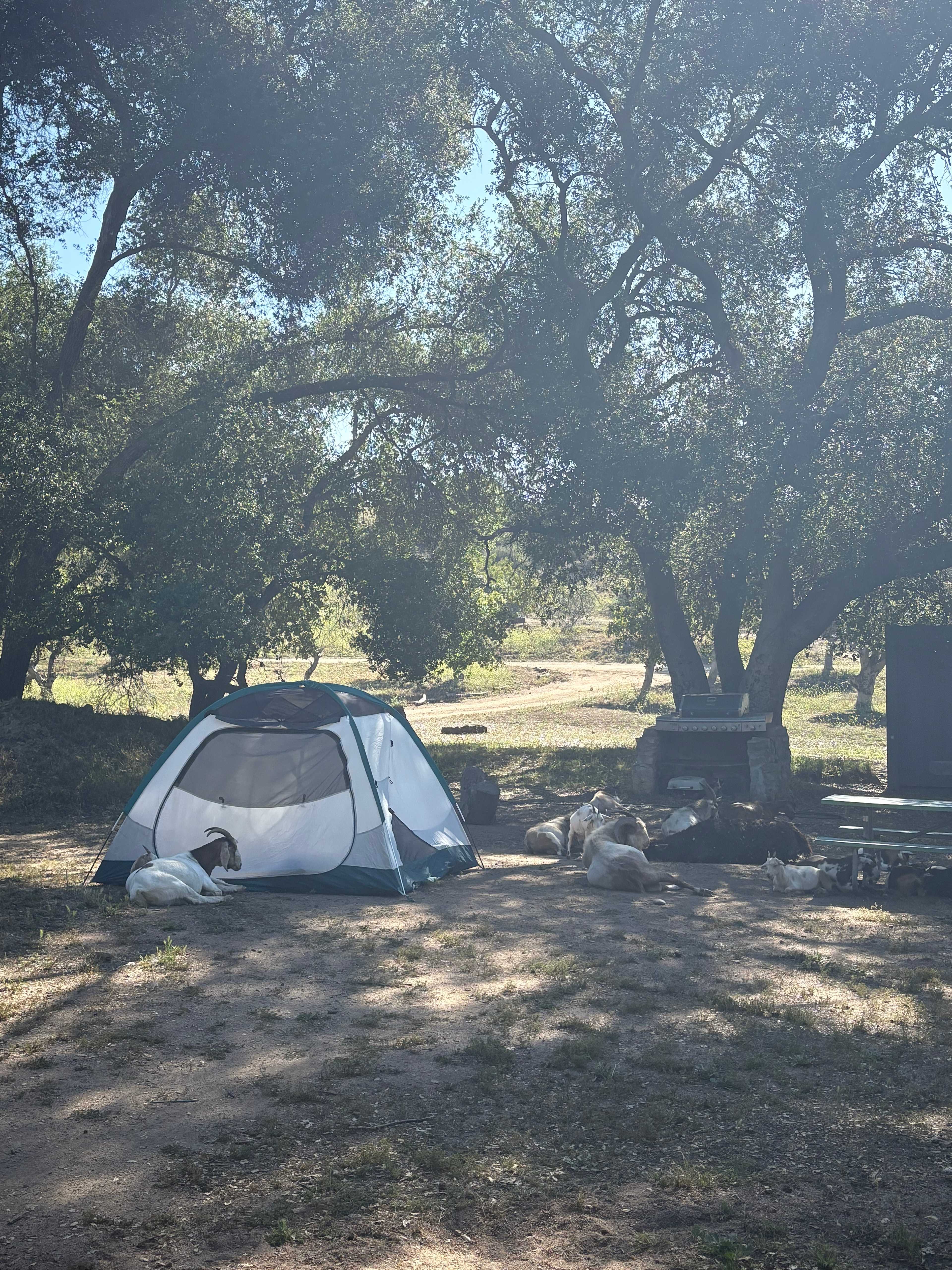 Splitrock Farm and Retreat