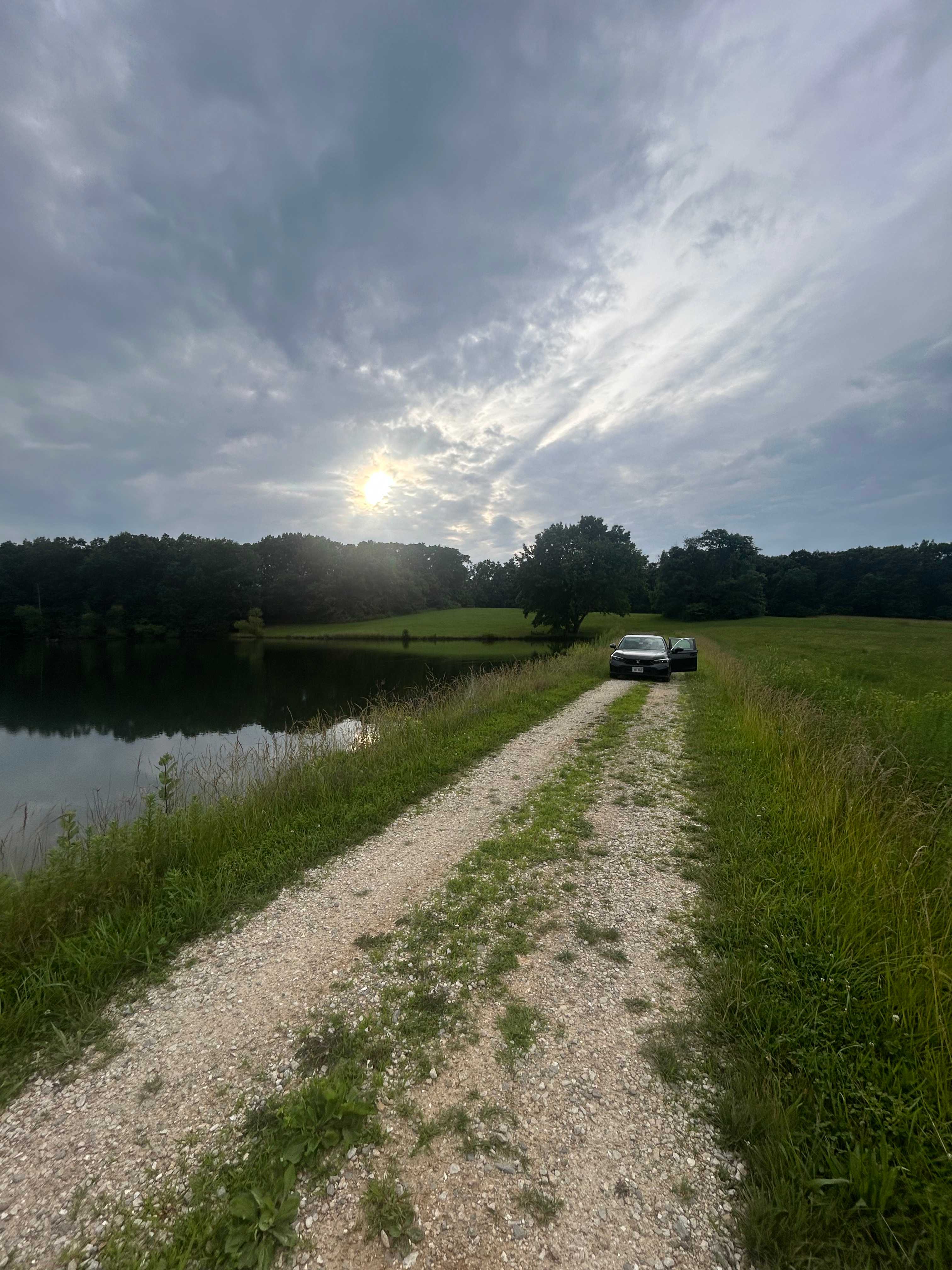 PeaceTree Farms