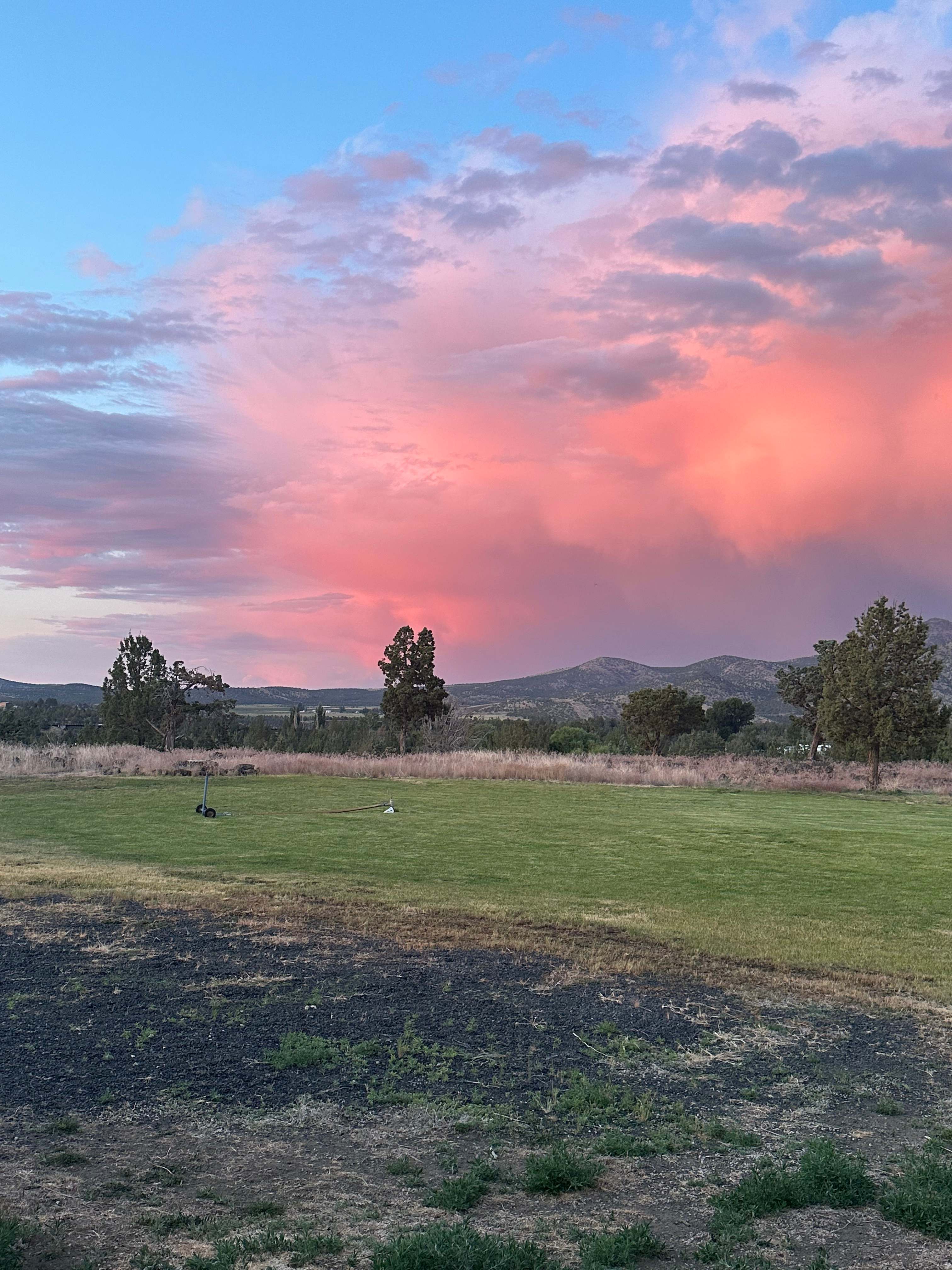 Bolton Estates Farm & Gardens