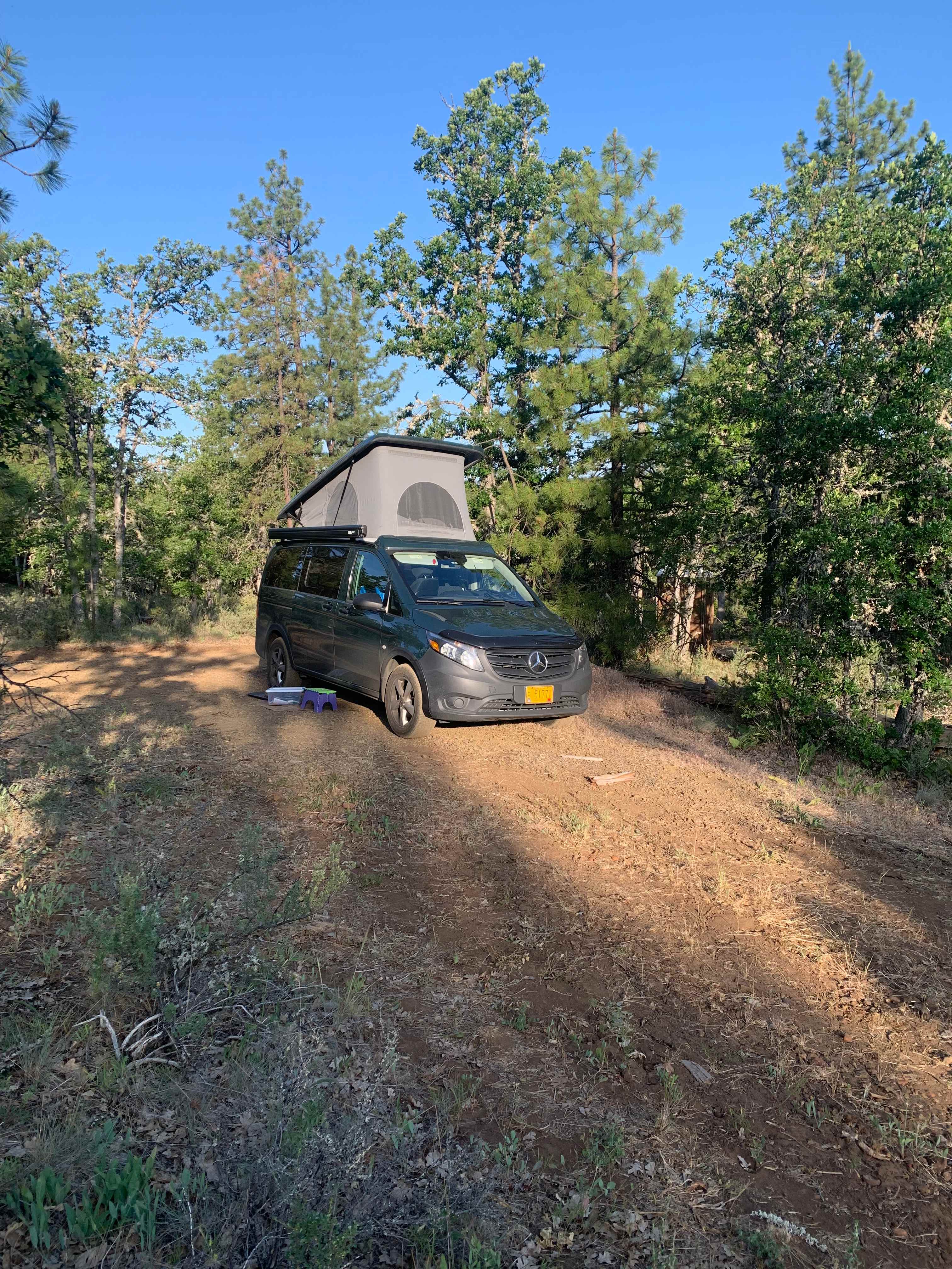 Cat's Forest Retreat