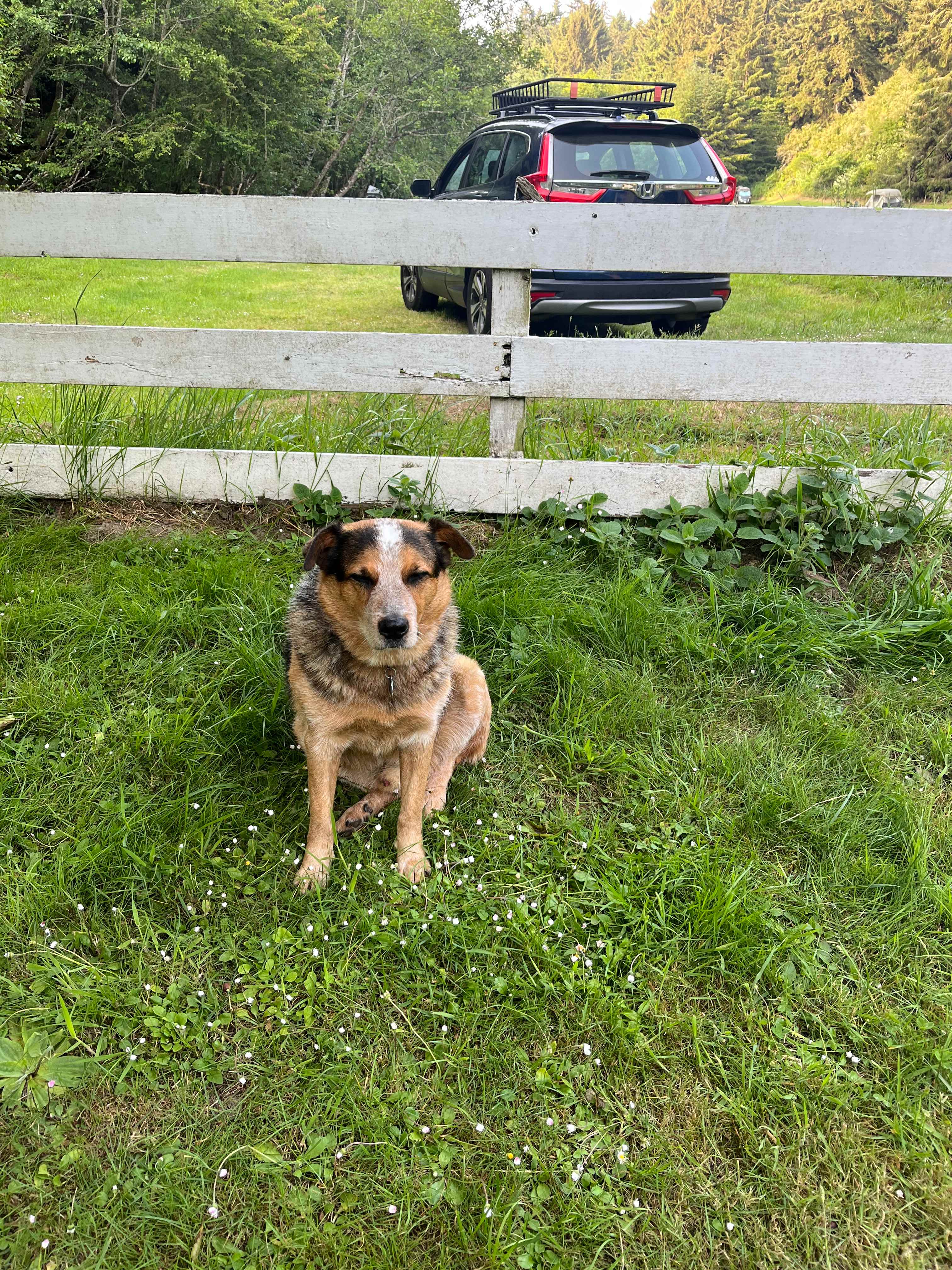Wendy & John Farm