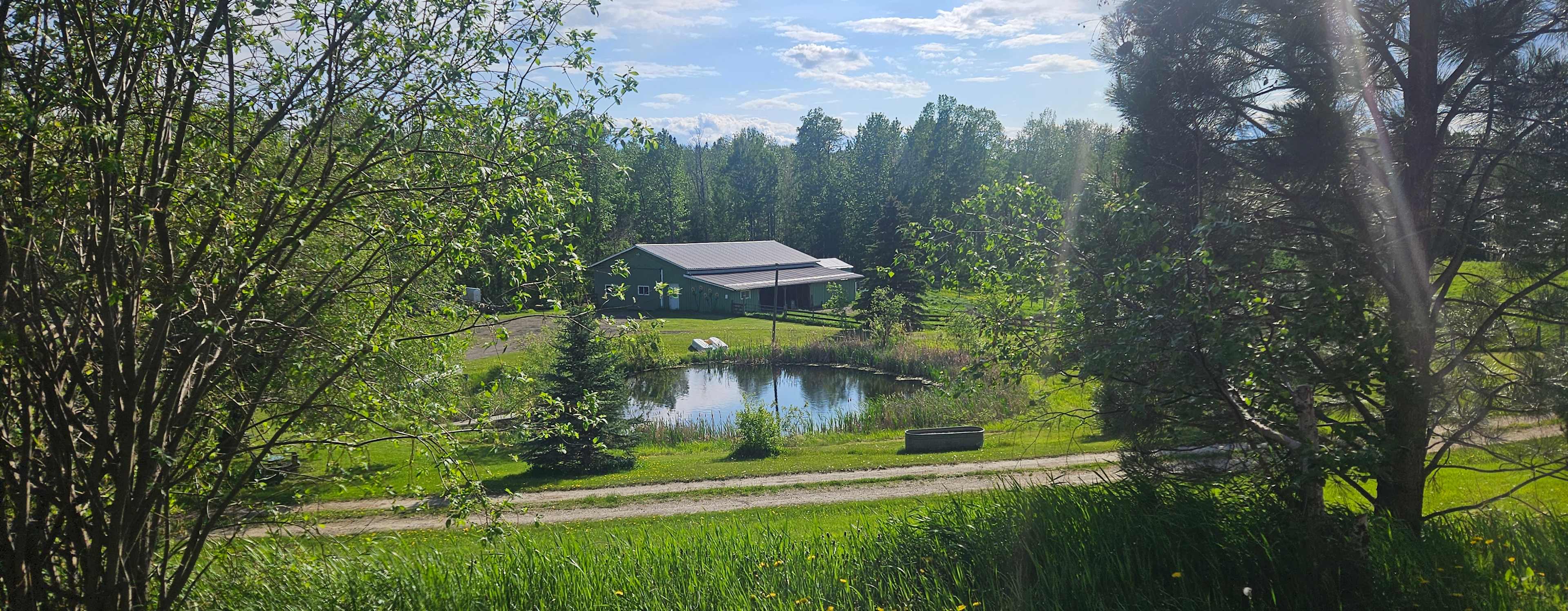 View from the house 