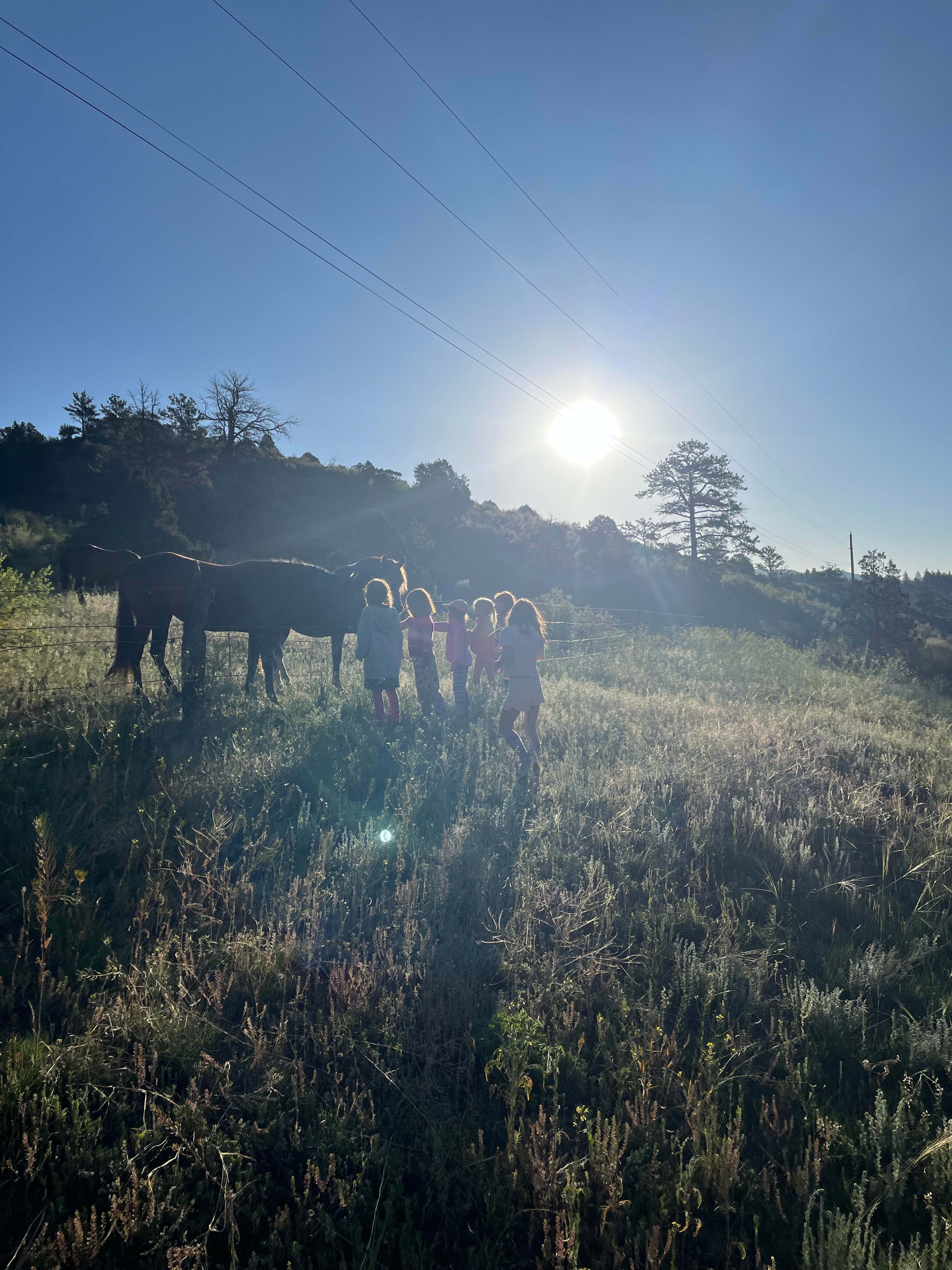 Resort Valley Ranch East