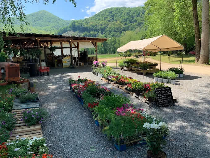 Tuckaseegee RV Resort