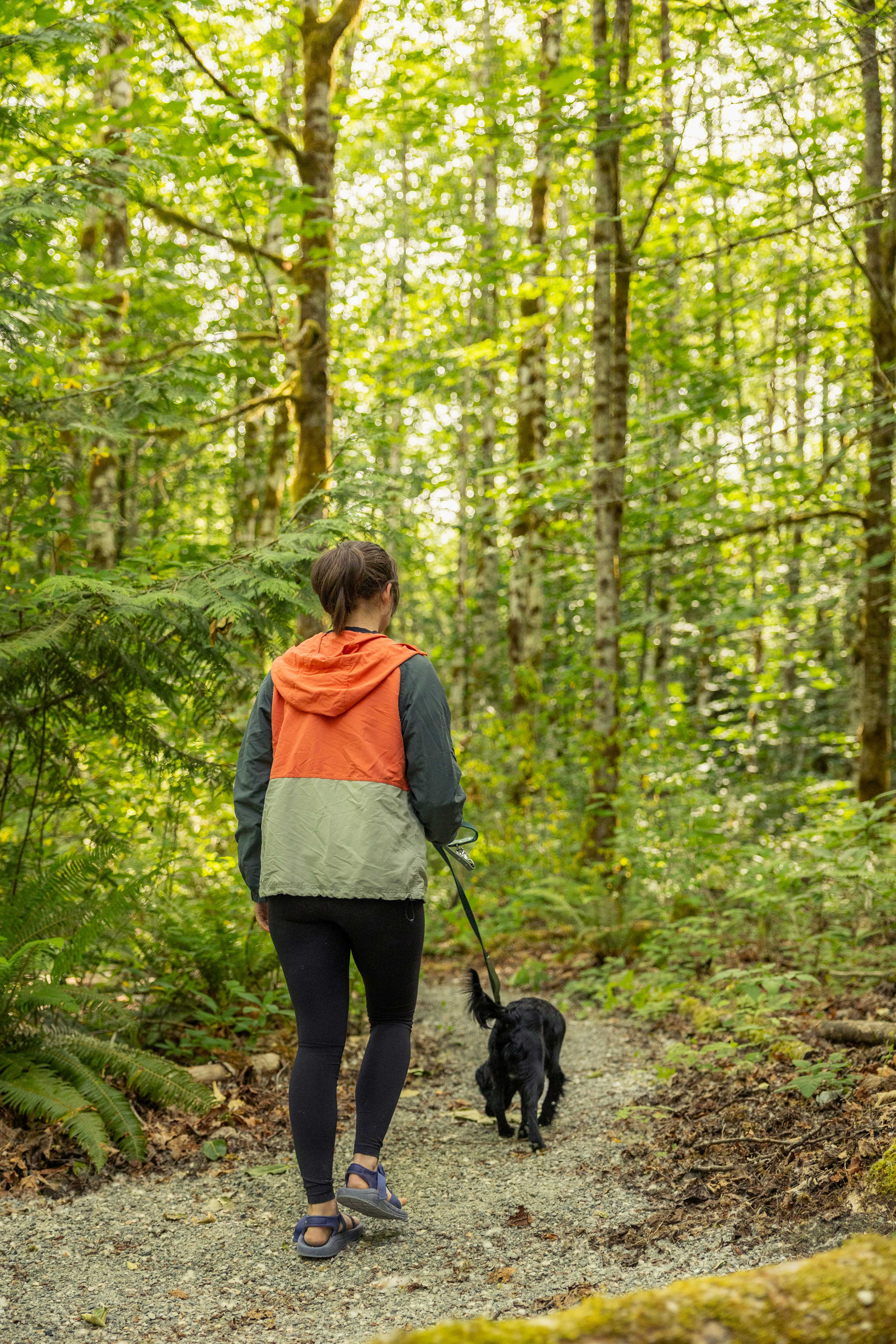 Trail to A-Frame