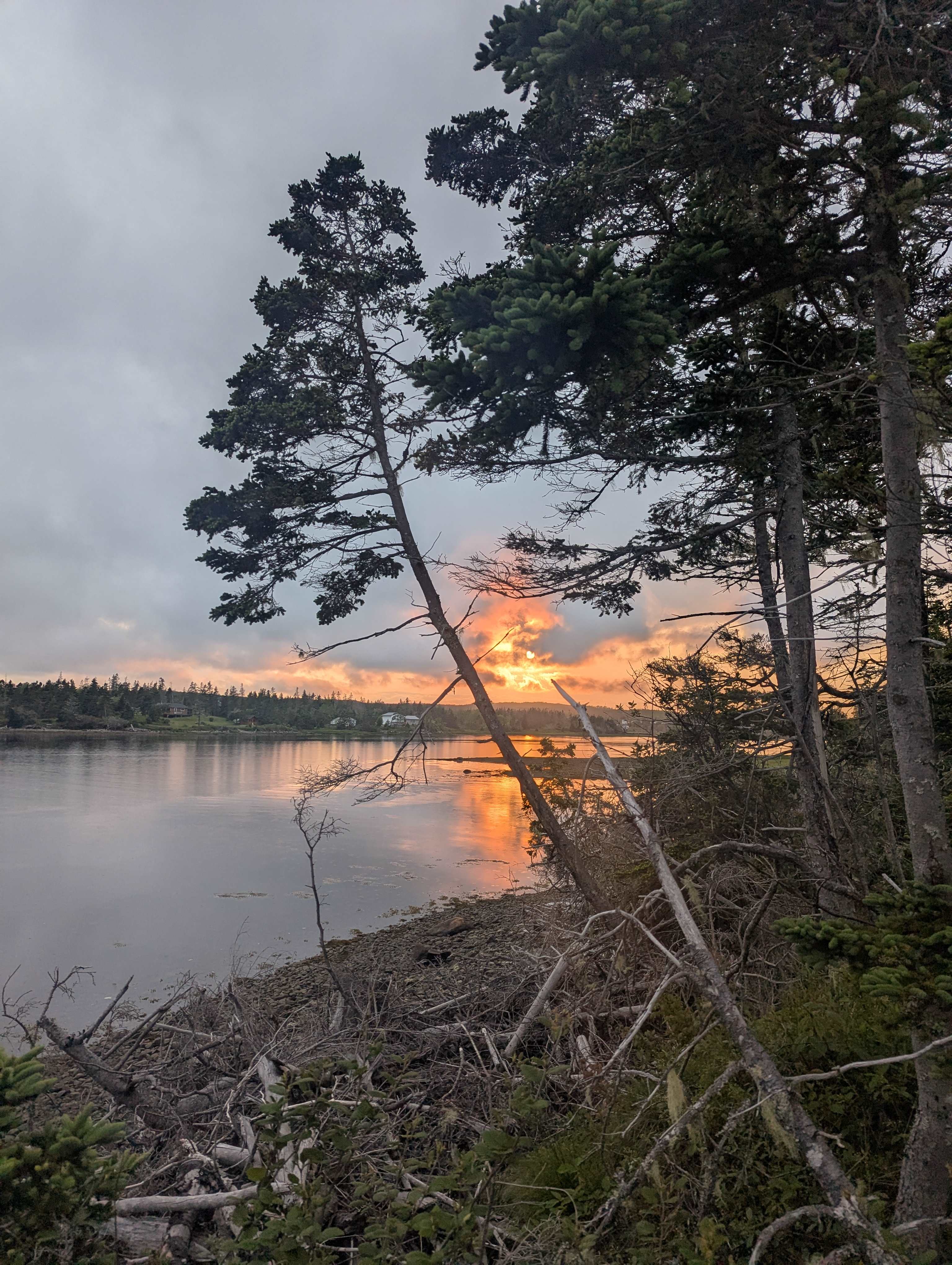 Wild Islands Camping by the Sea