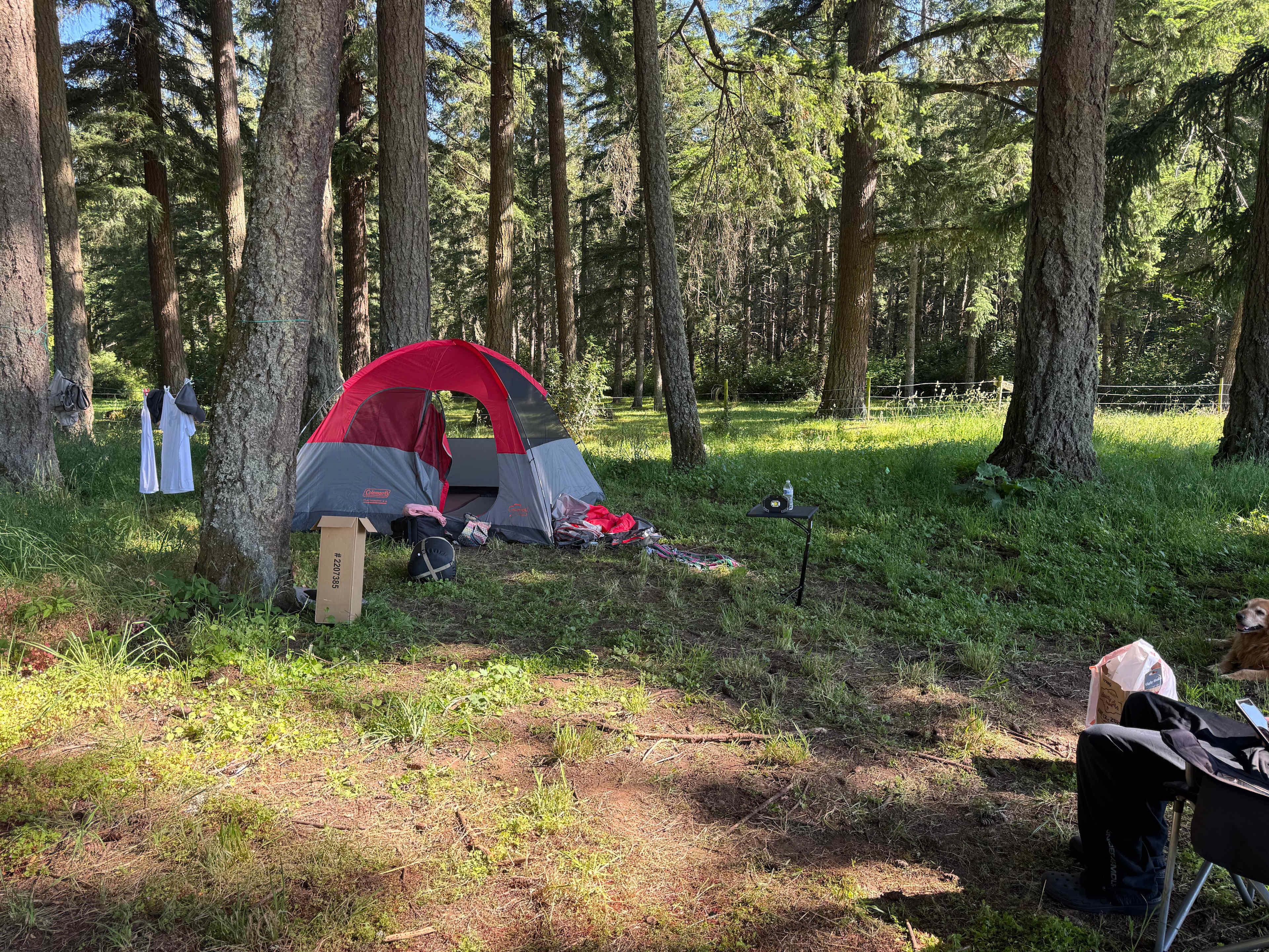 Picture of the site