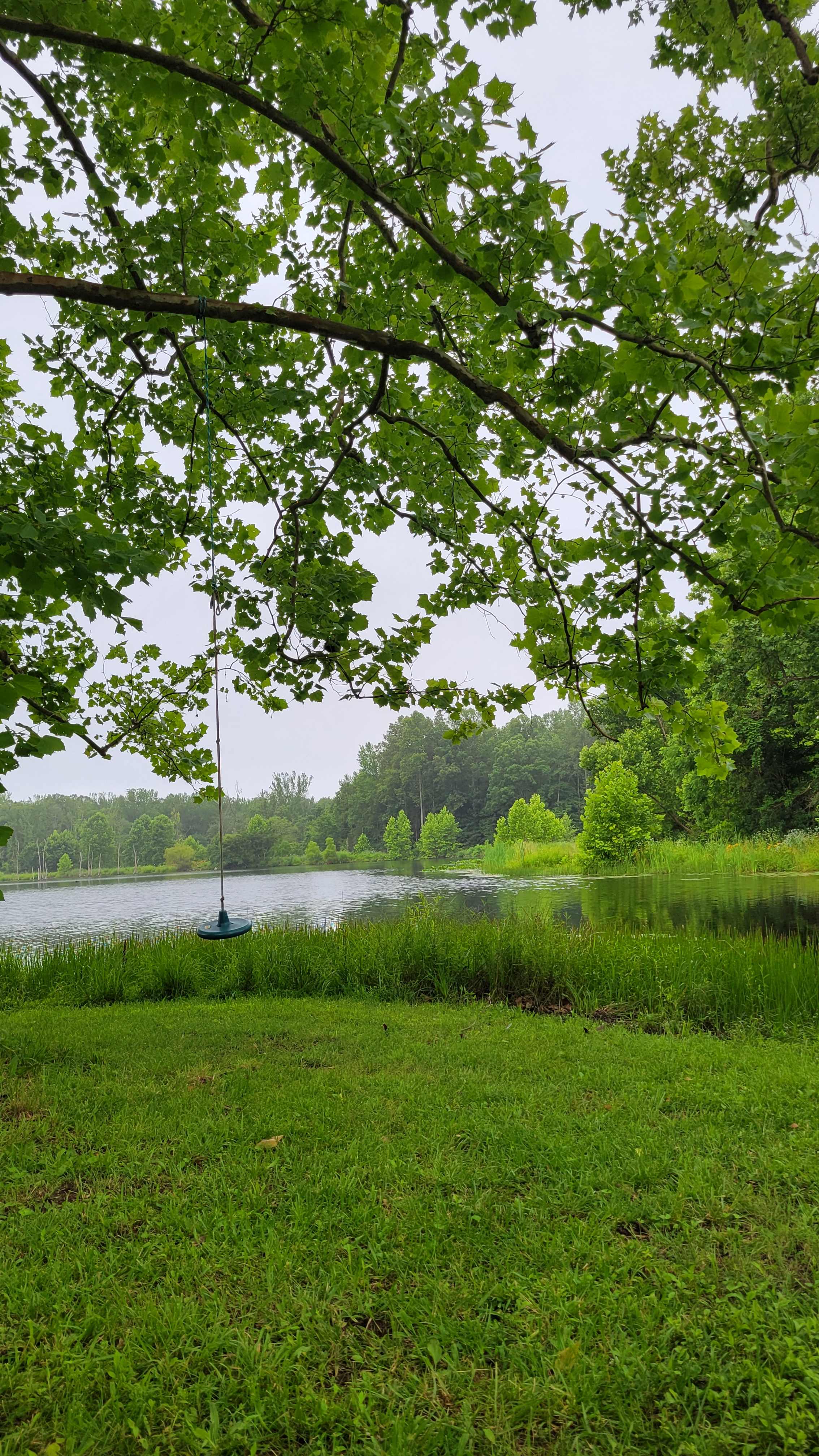 Perfect picnic spot