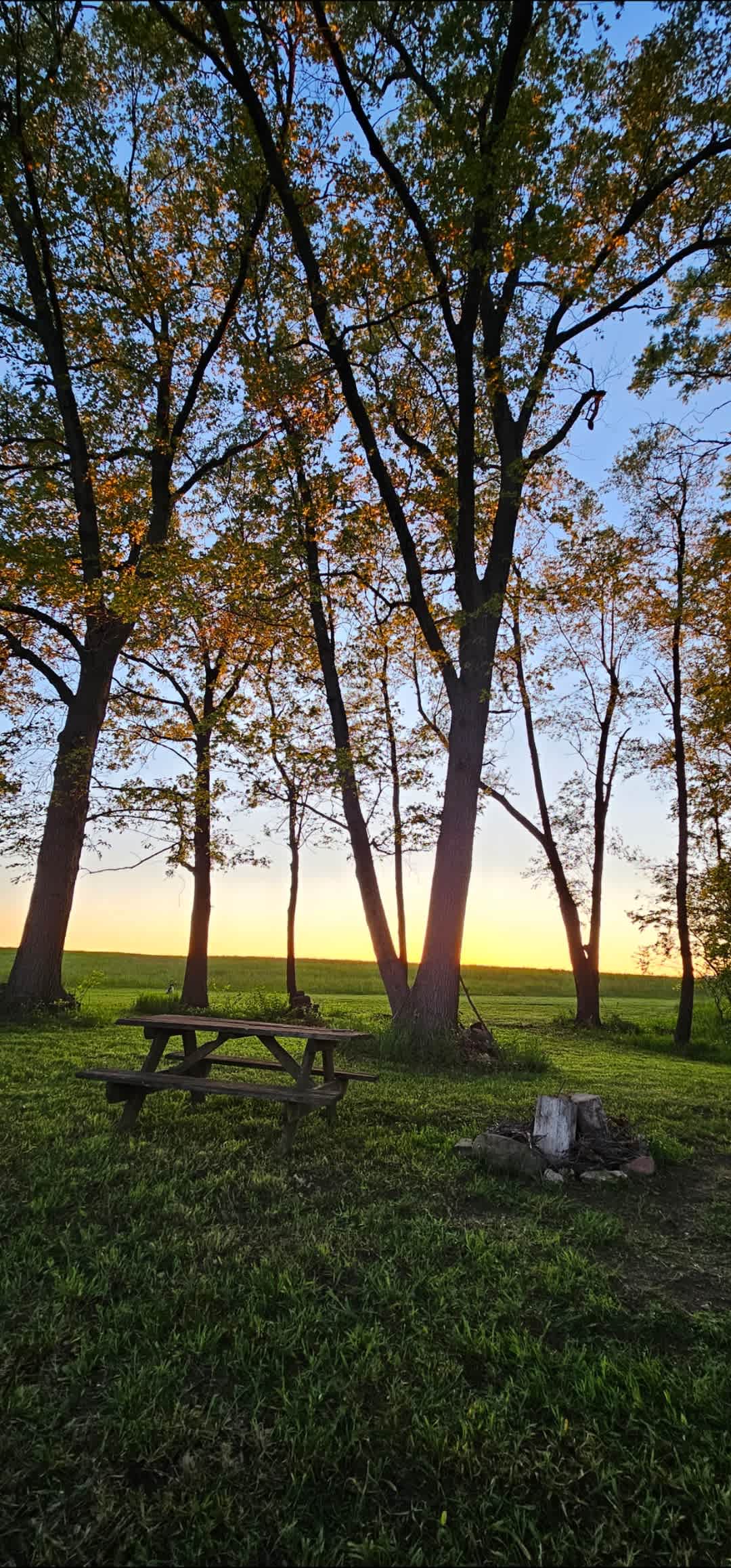 Sunset views!