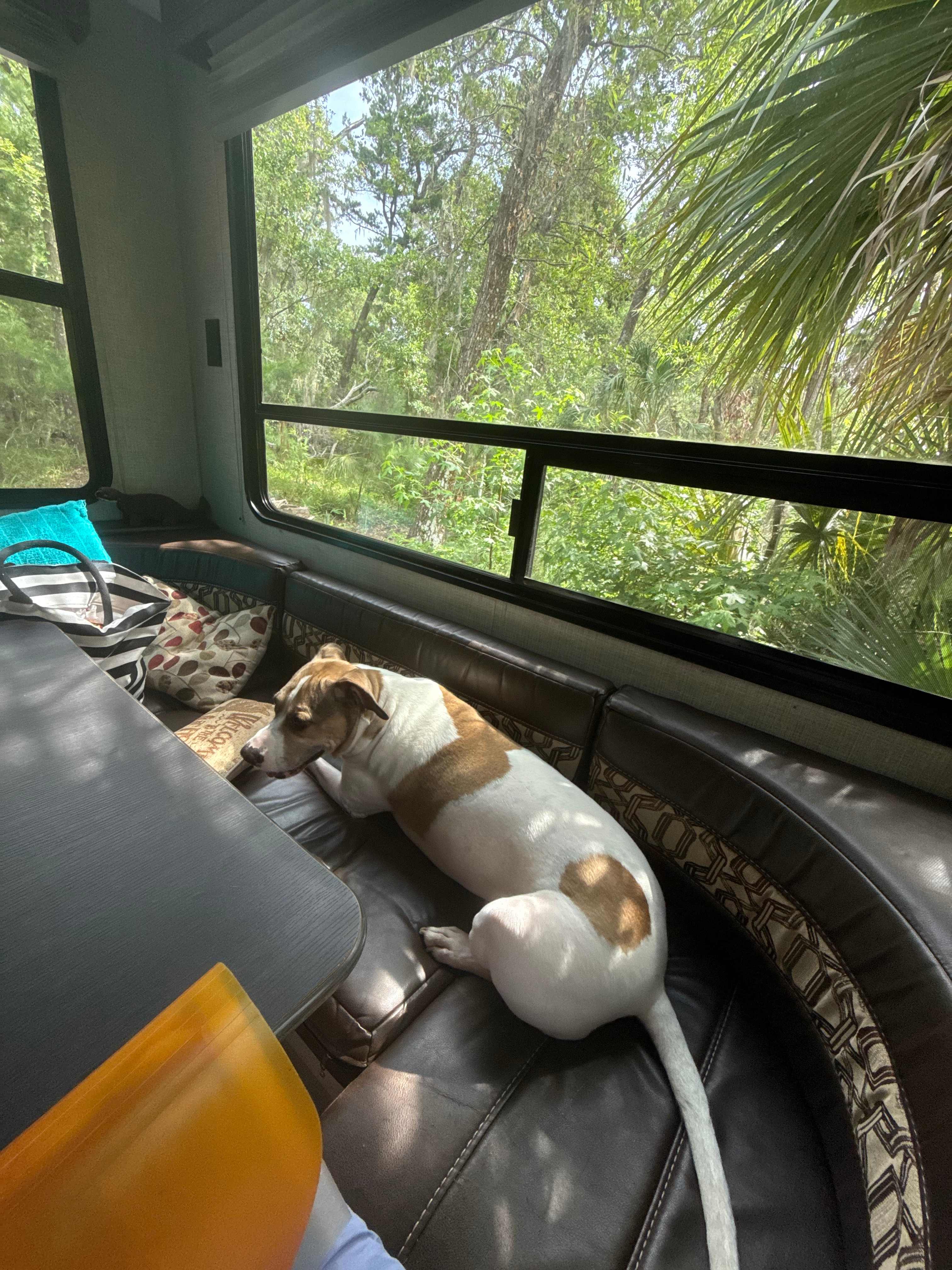 Edisto Island Vacation Rental RV