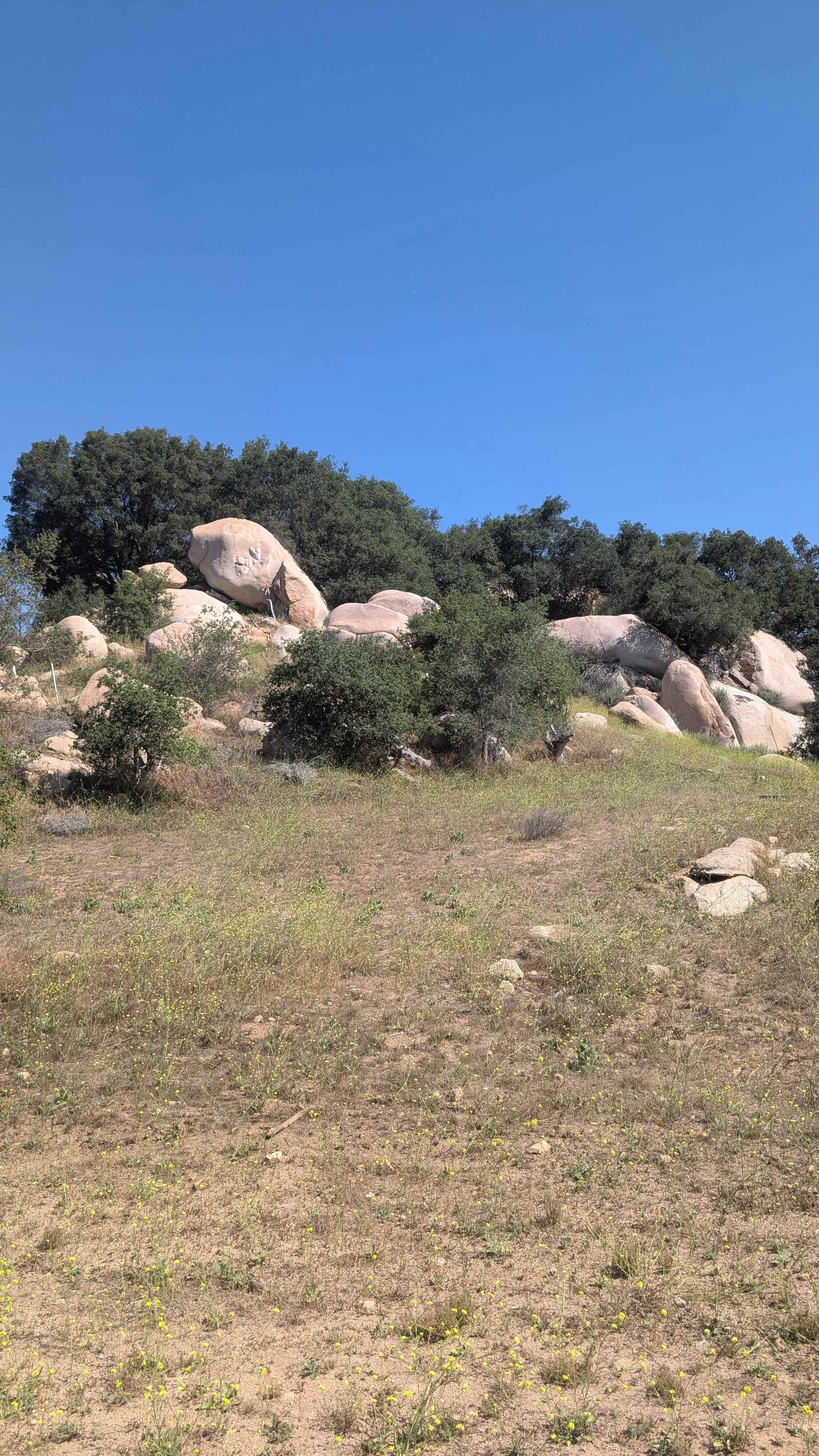 Splitrock Farm and Retreat