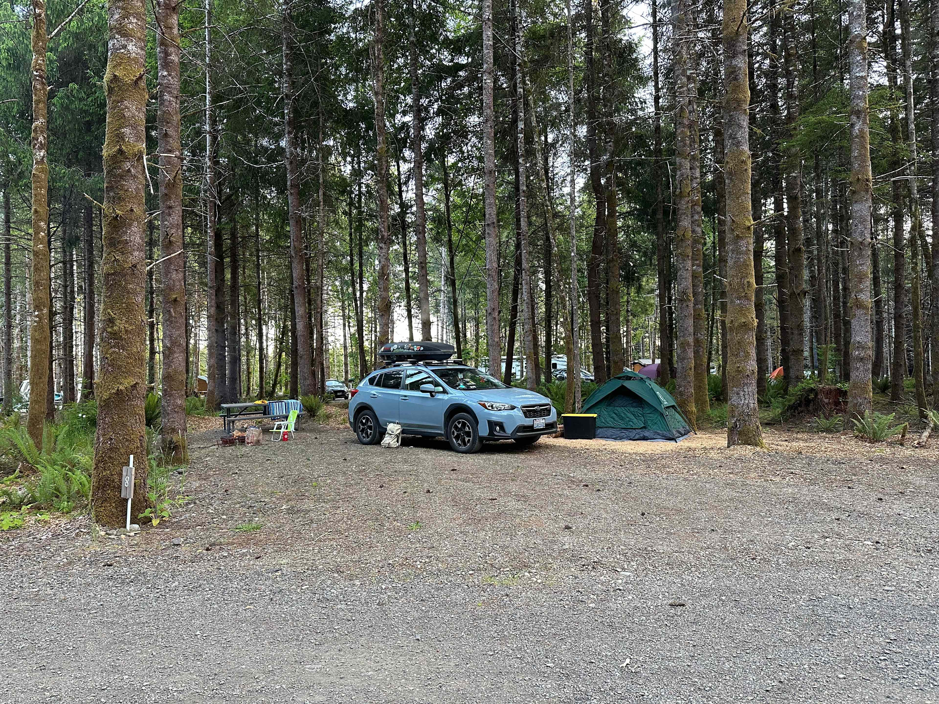 Picture of the site