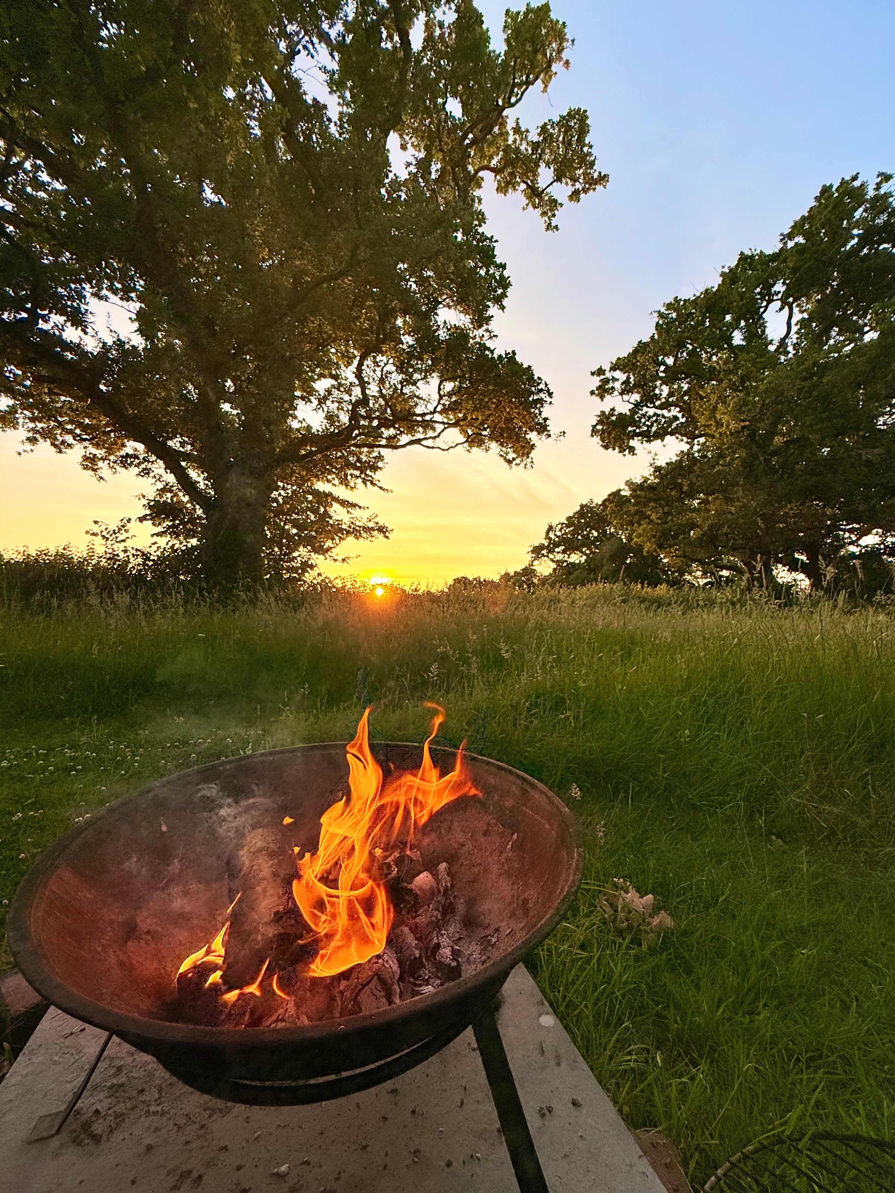 Wild Flower Meadow Campsite