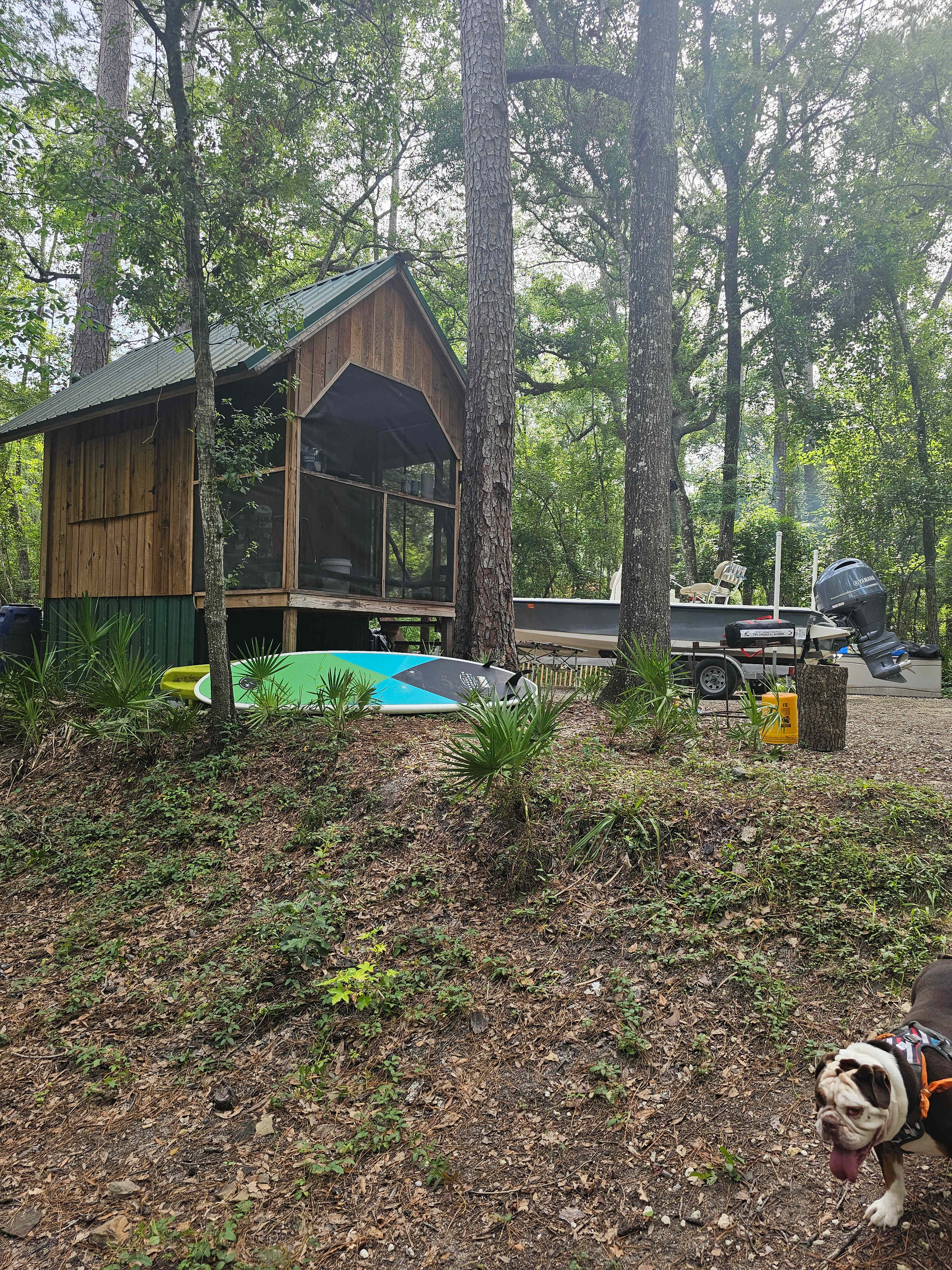 Campsite and cabin