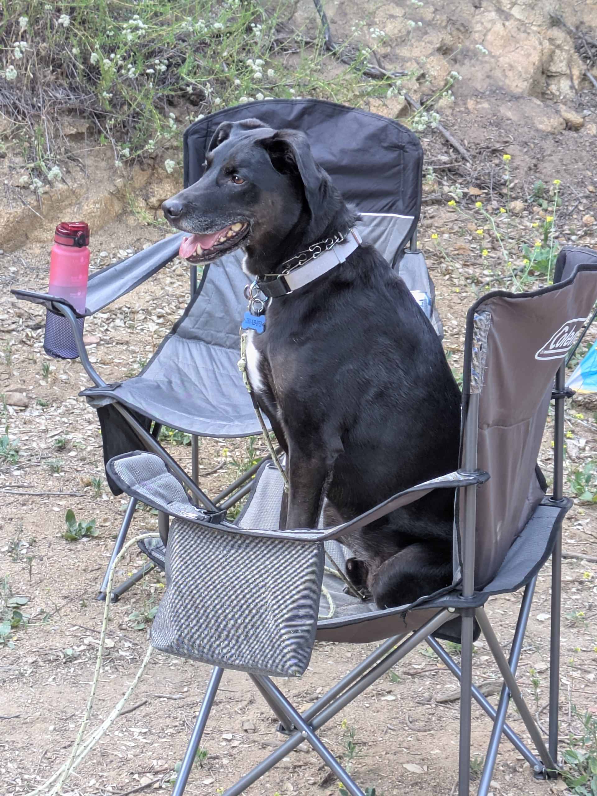 SoCal Campground
