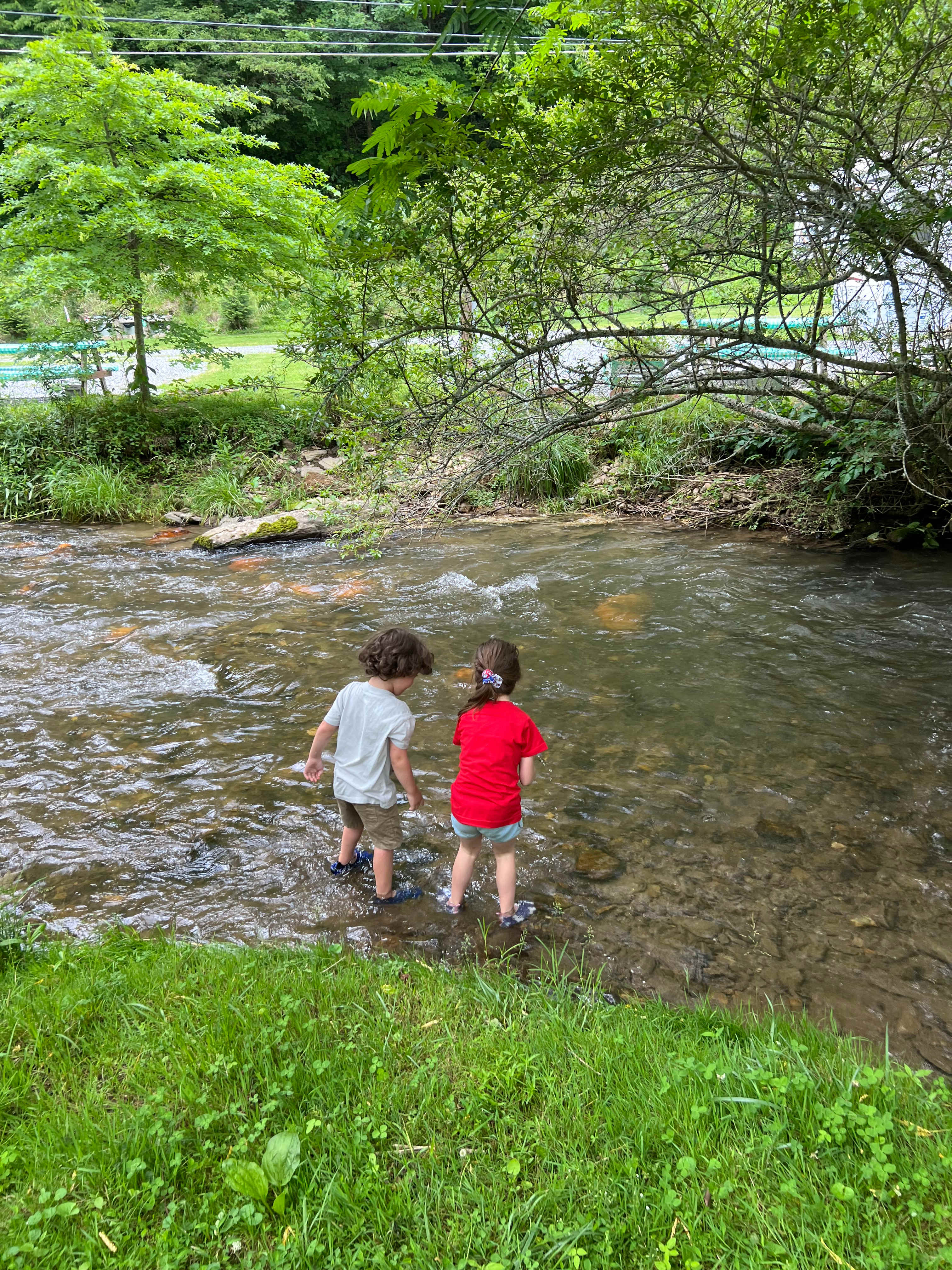 Conleys Creek Campground