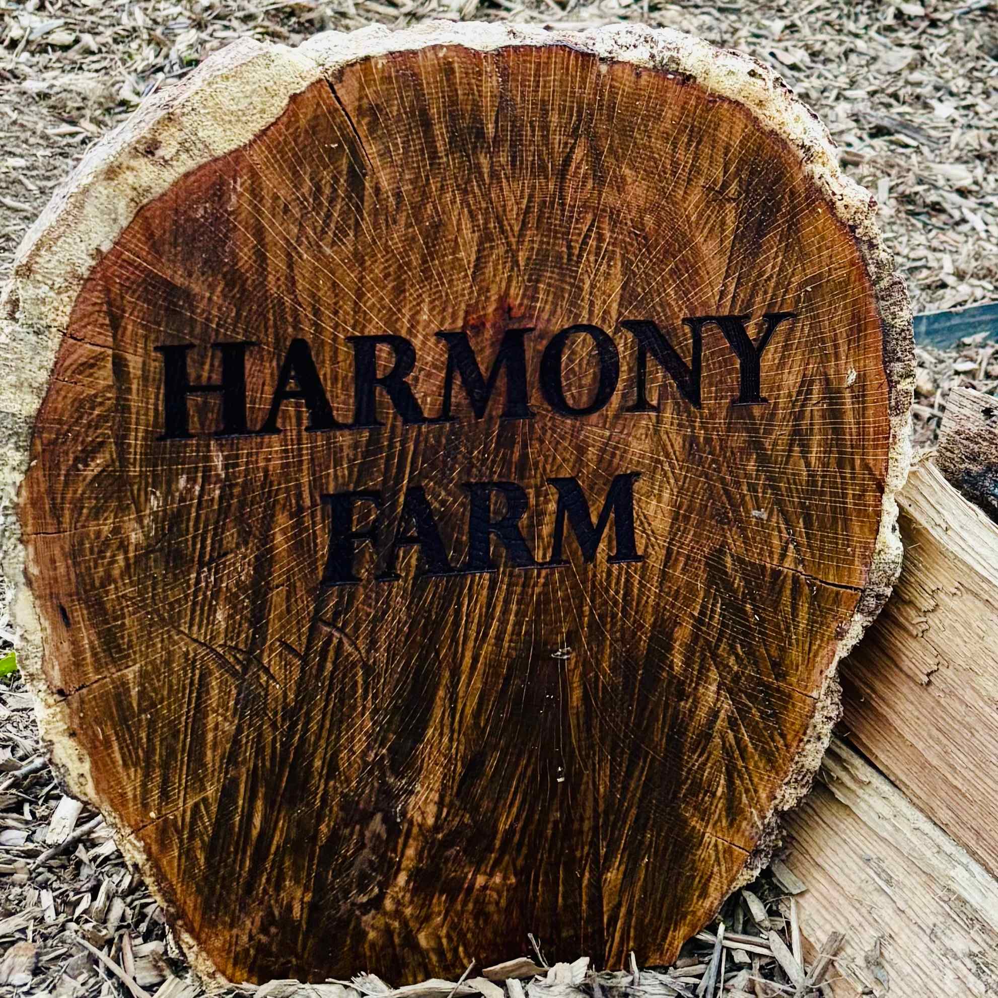 Harmony Farm and Escape