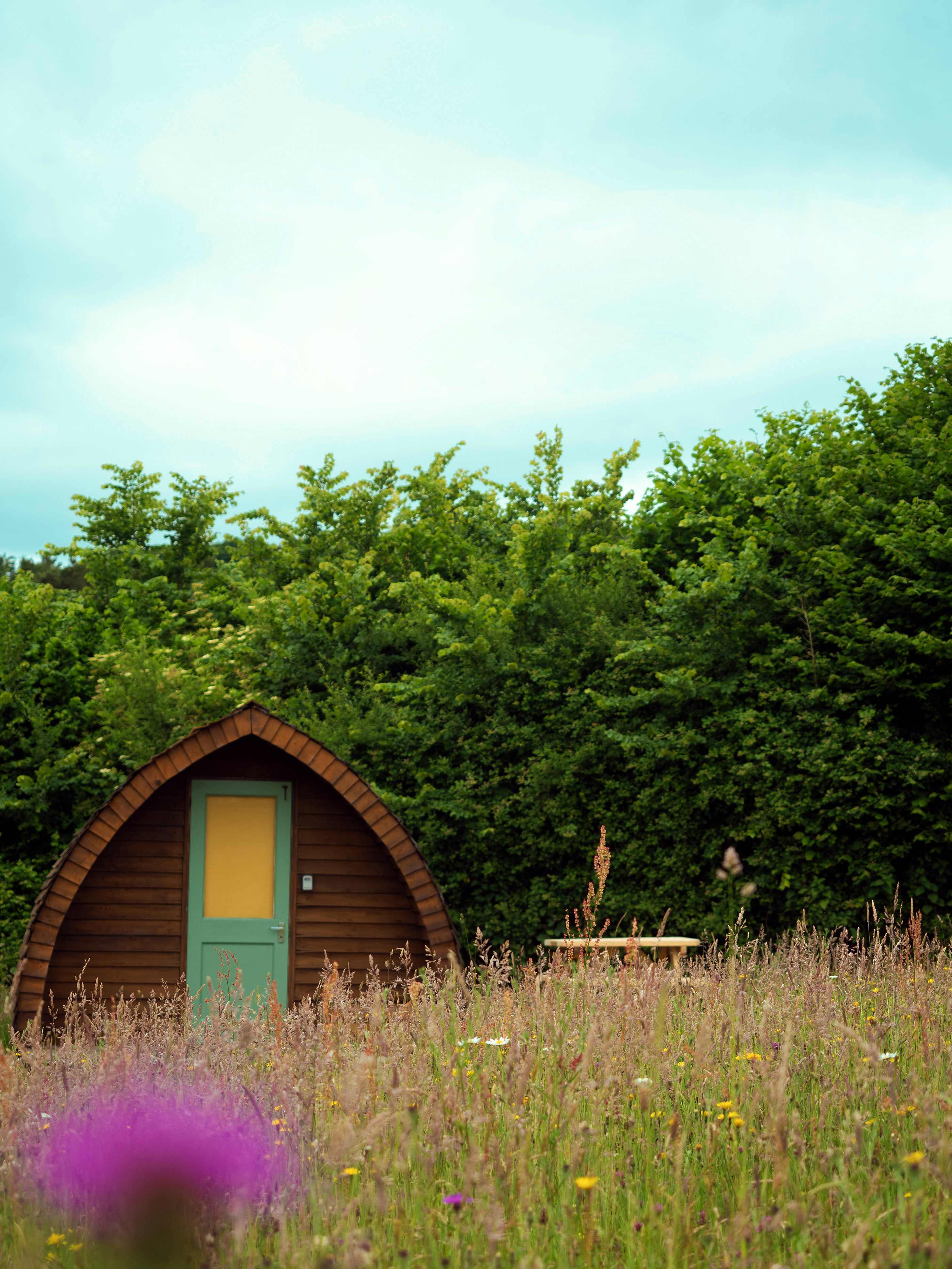 Hogchester Meadow Pods