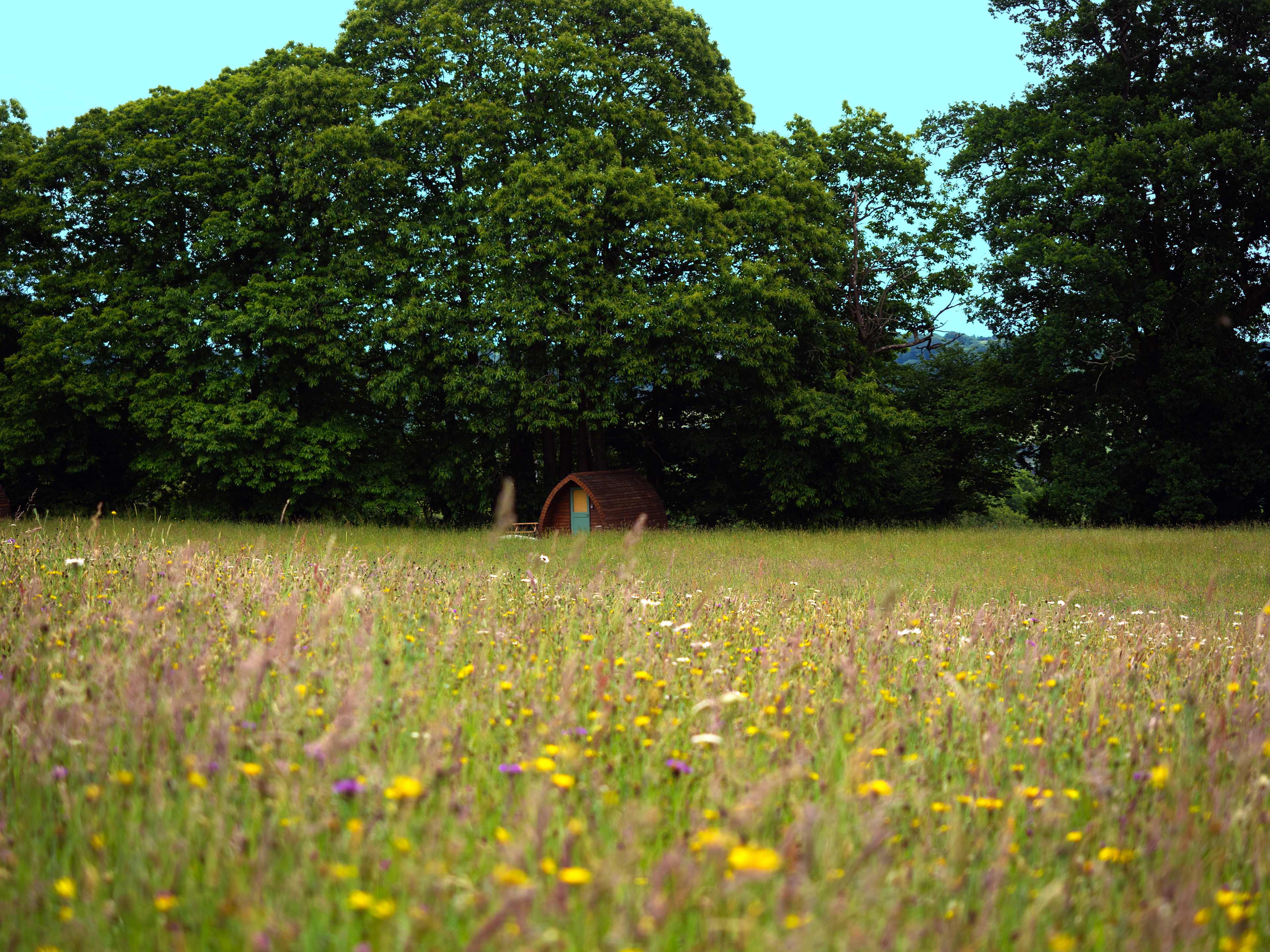 Hogchester Meadow Pods