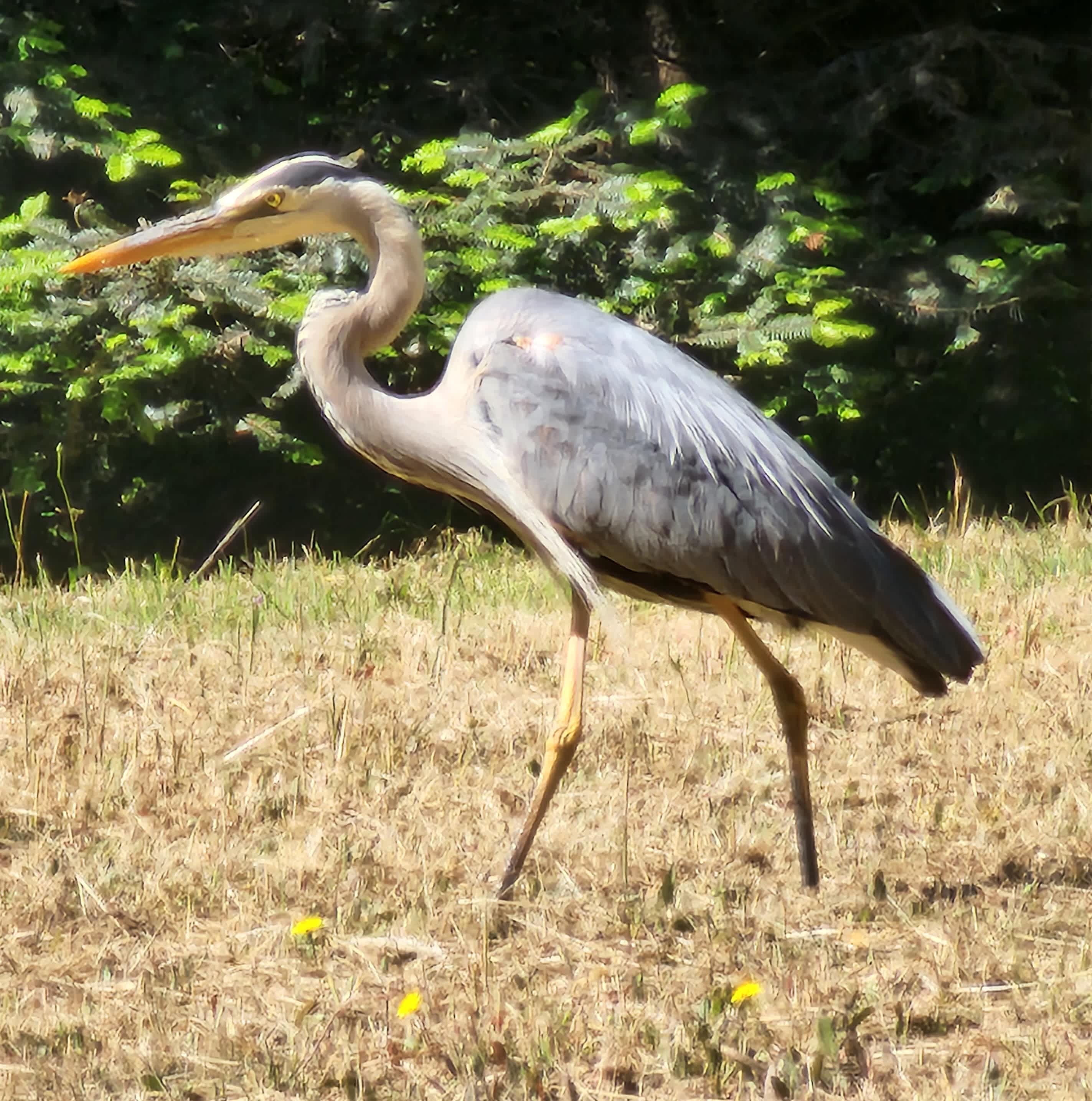 Jug Handle Creek Farm