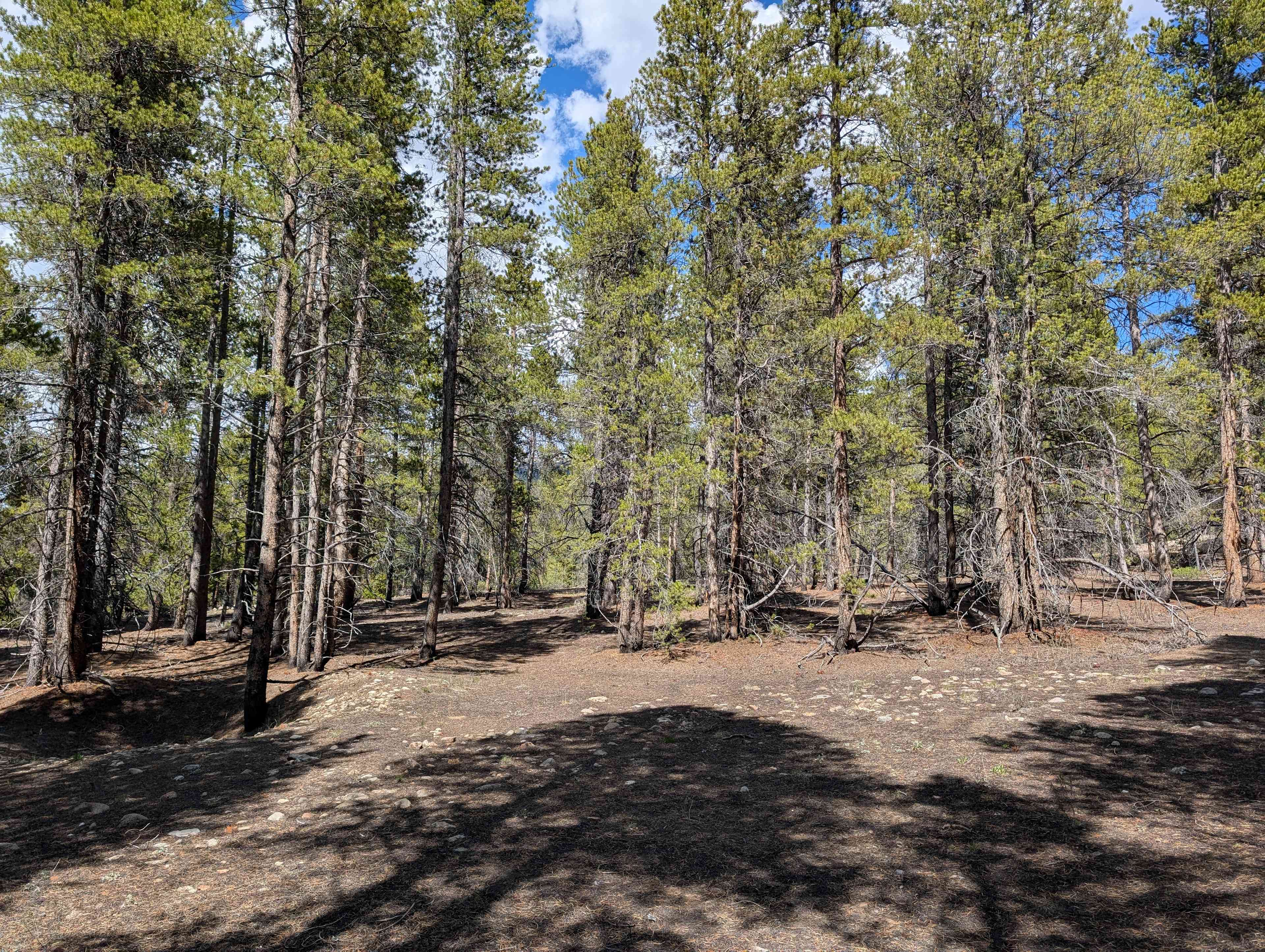 Facing North